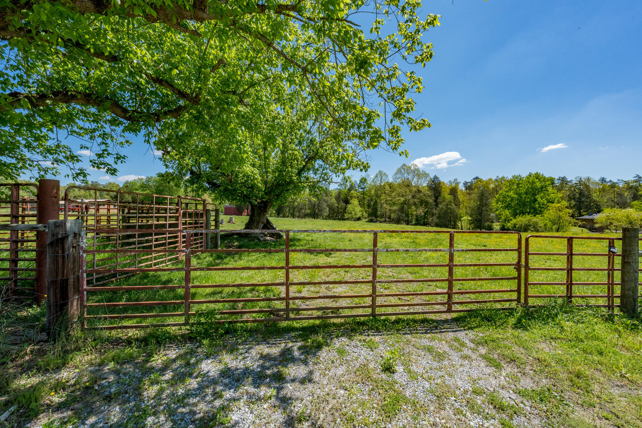 680 Murrell Road Kingsport, TN 37660 - Photo 18 of 38 680 Murrell Road (33 of 38)