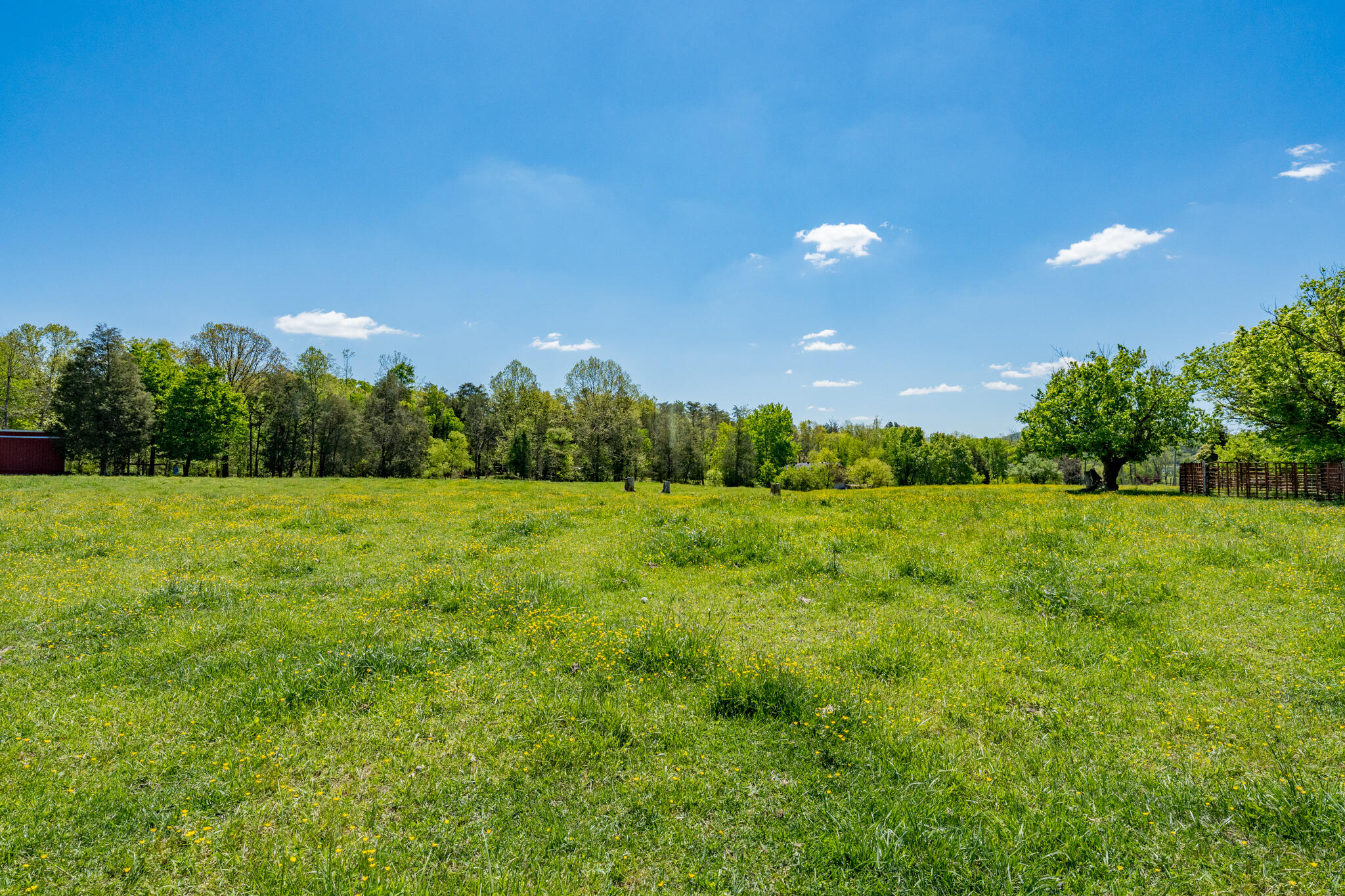 680 Murrell Road Kingsport, TN 37660 - Photo 23 of 38 680 Murrell Road (38 of 38)