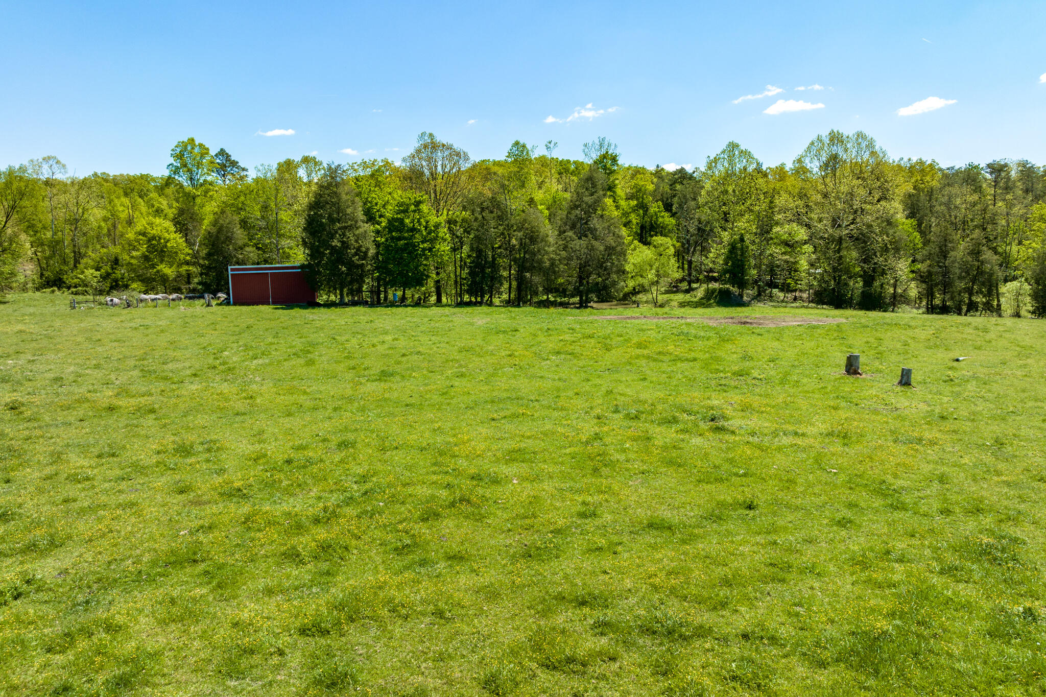 680 Murrell Road Kingsport, TN 37660 - Photo 3 of 38 680 Murrell Road (18 of 38)