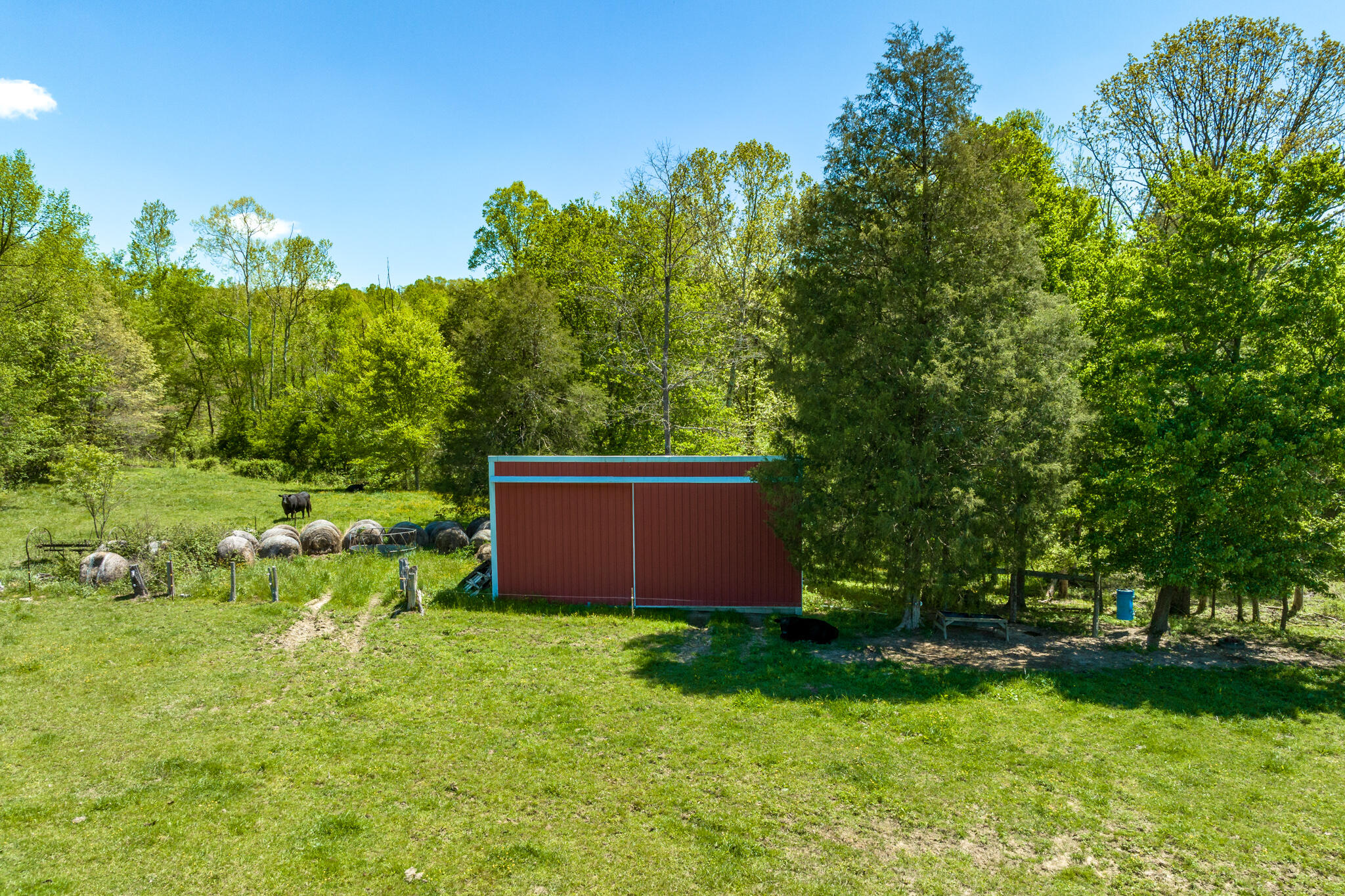 680 Murrell Road Kingsport, TN 37660 - Photo 4 of 38 680 Murrell Road (19 of 38)