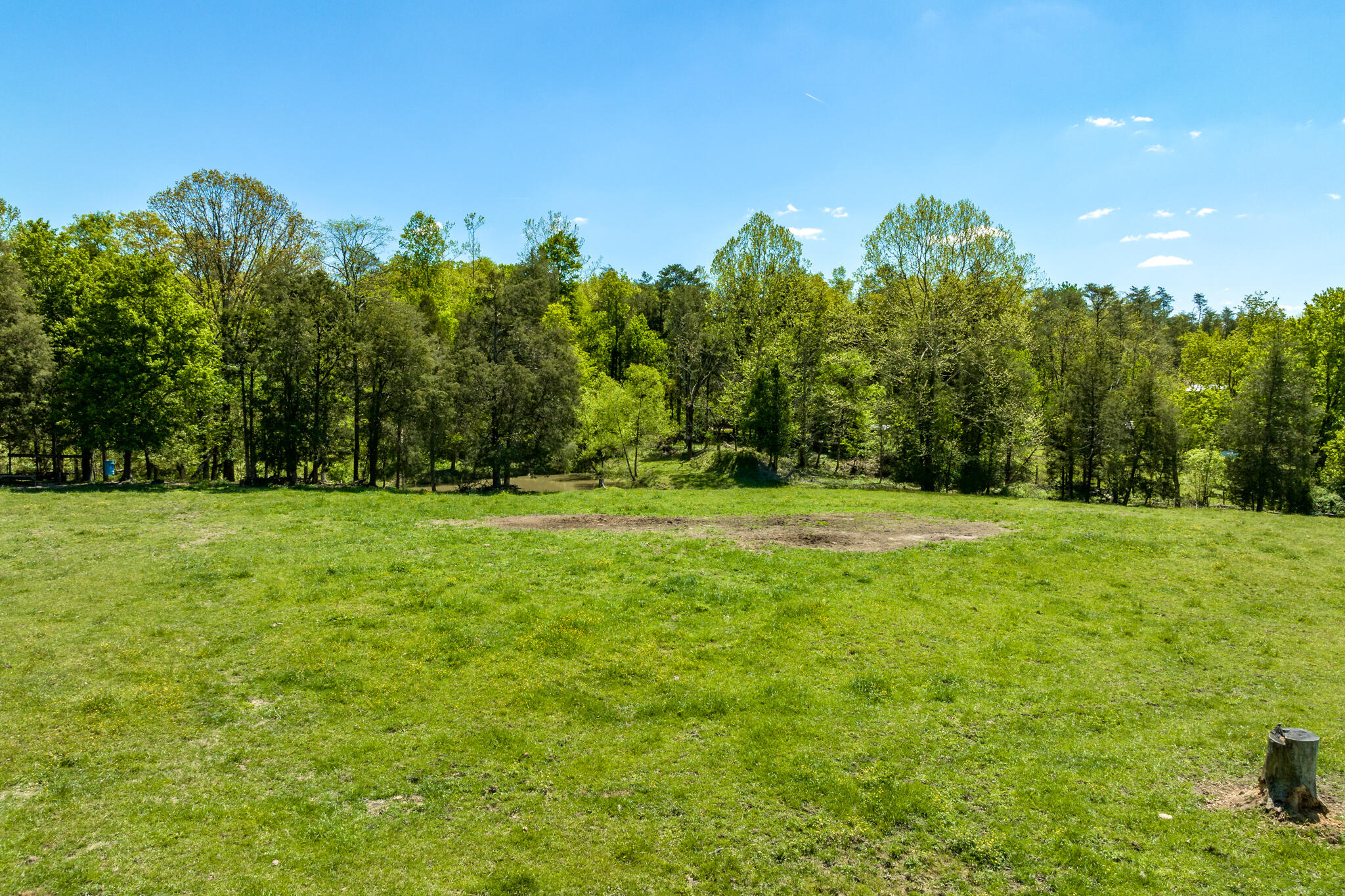 680 Murrell Road Kingsport, TN 37660 - Photo 8 of 38 680 Murrell Road (23 of 38)