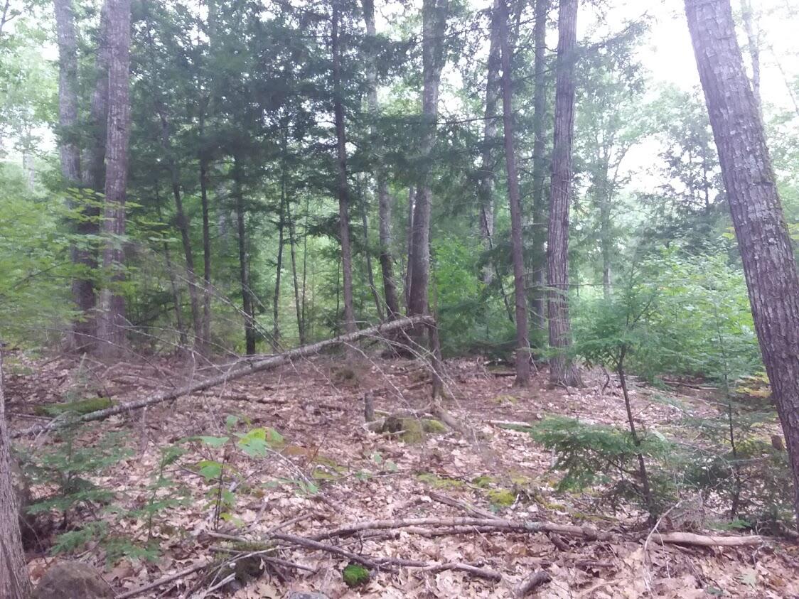 0 Jackson Road Waldoboro, ME 04572 - Photo 1 of 1 0 jackson