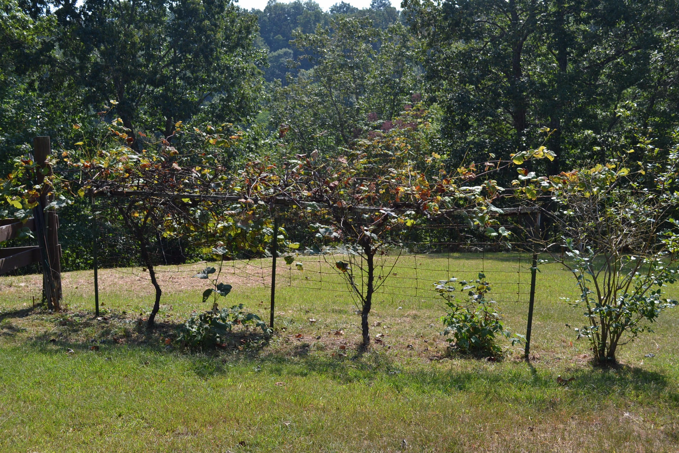 626 Windpsalm Road Renick, WV 24966 - Photo 25 of 75 Gallery Image 25