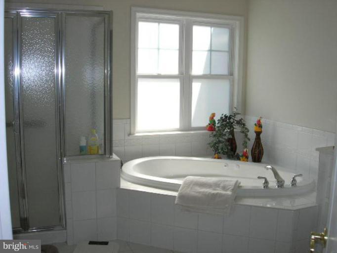 2673 Monocacy Ford Road Frederick, MD 21701 - Photo 8 of 17 Master Bath