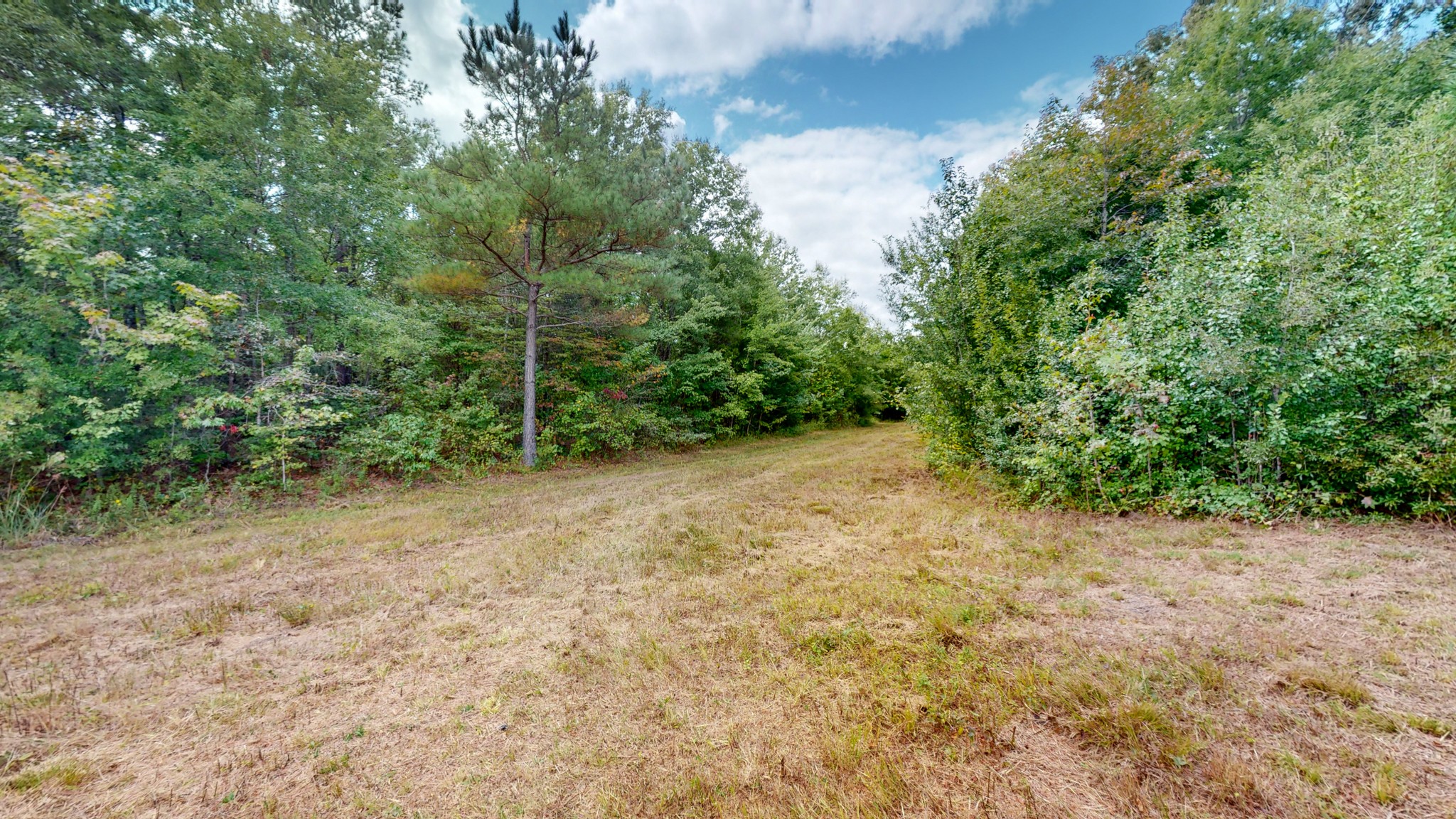 0 Martin Road Morrison, TN 37357 - Photo 21 of 29 a view of a forest with trees in the background