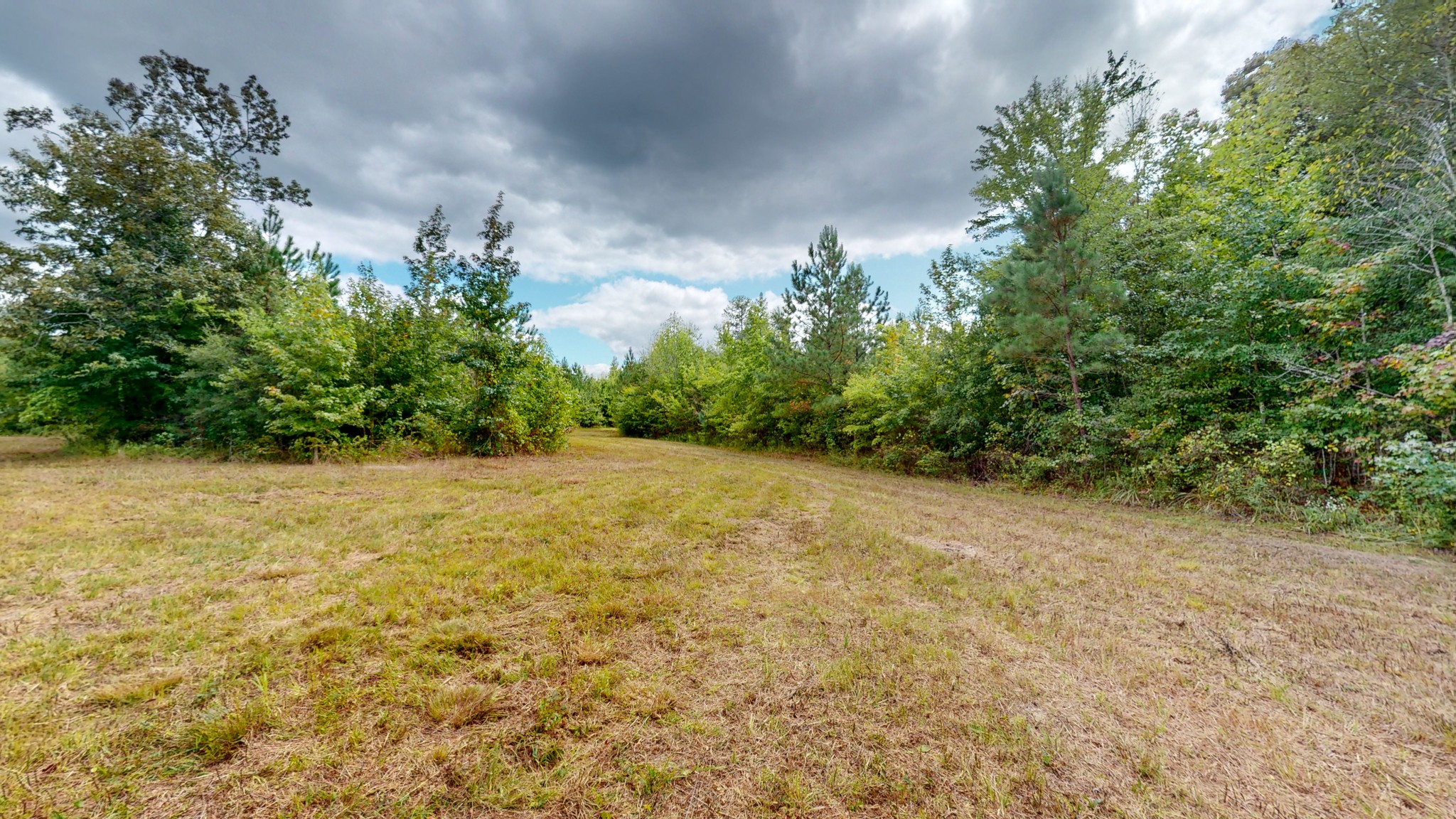 0 Martin Road Morrison, TN 37357 - Photo 23 of 29 a view of a yard with an trees