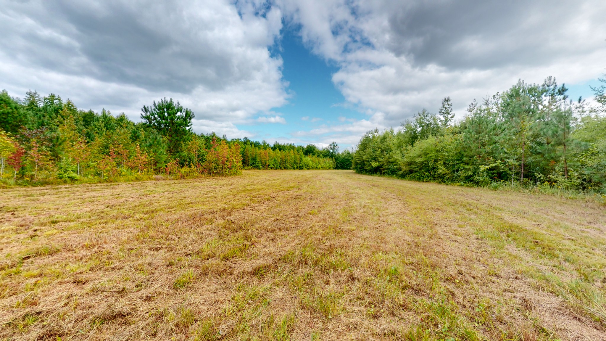 0 Martin Road Morrison, TN 37357 - Photo 24 of 29 a view of a yard with a trees
