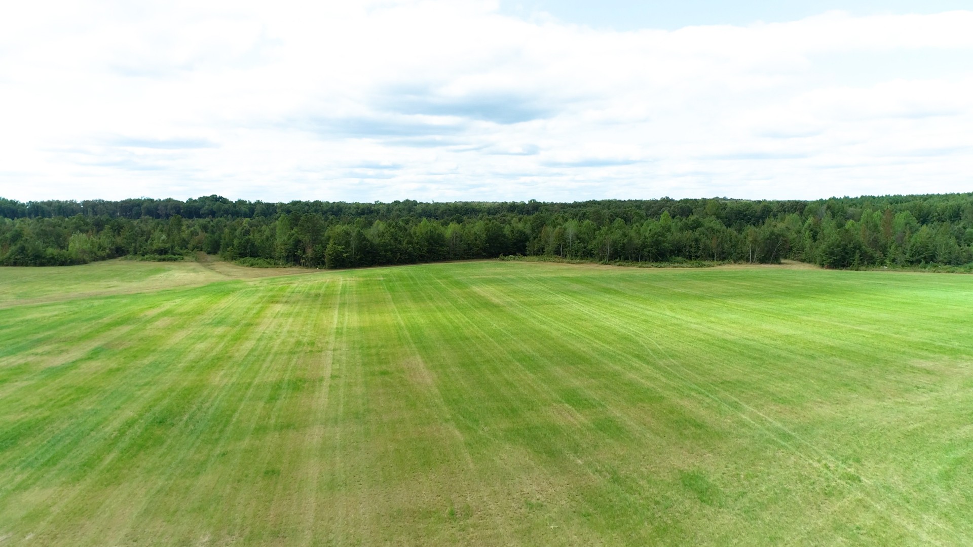 0 Martin Road Morrison, TN 37357 - Photo 5 of 29 a view of field with tall trees