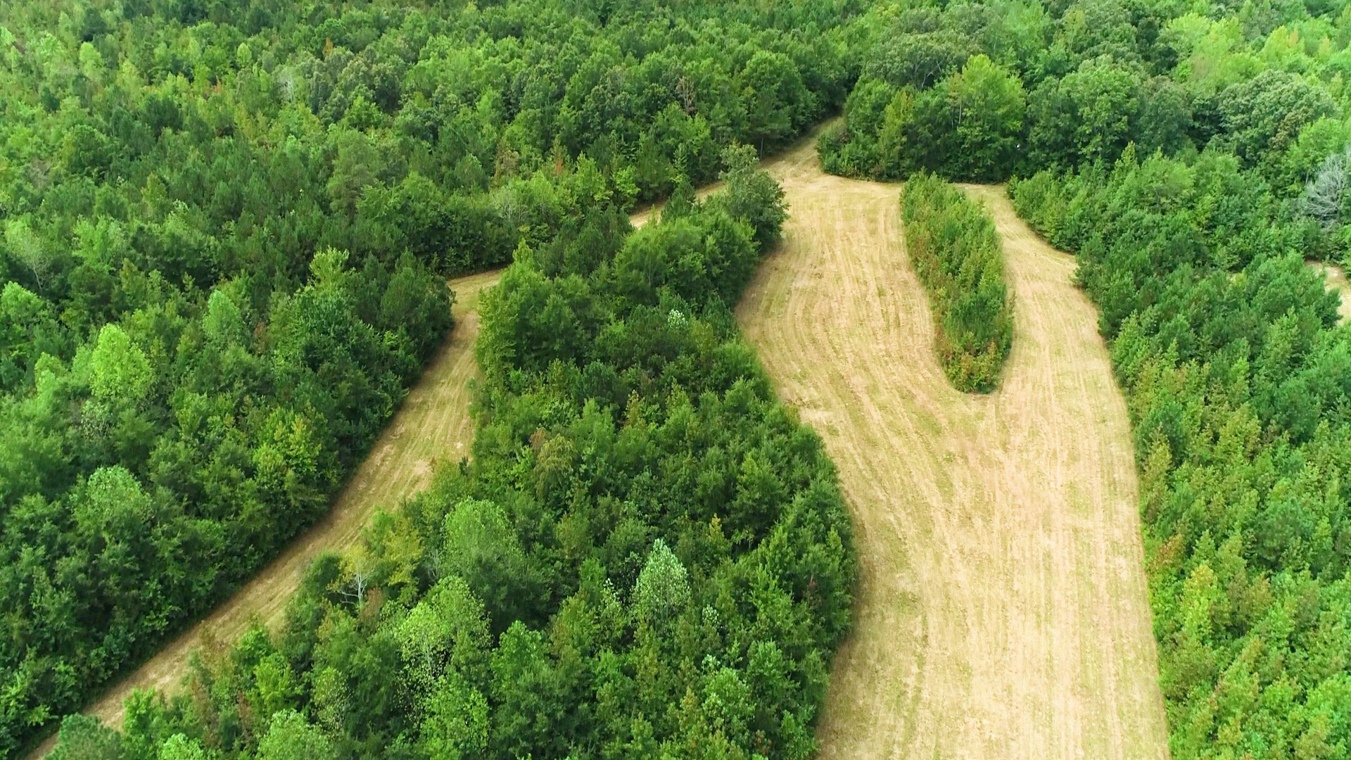 0 Martin Road Morrison, TN 37357 - Photo 10 of 29