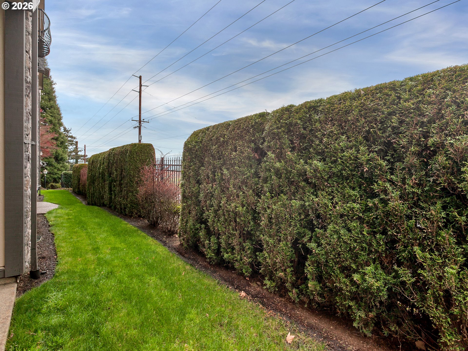 3642 Southwest Baird Street, Unit 5 Portland, OR 97219 - Photo 37 of 43 Backyard