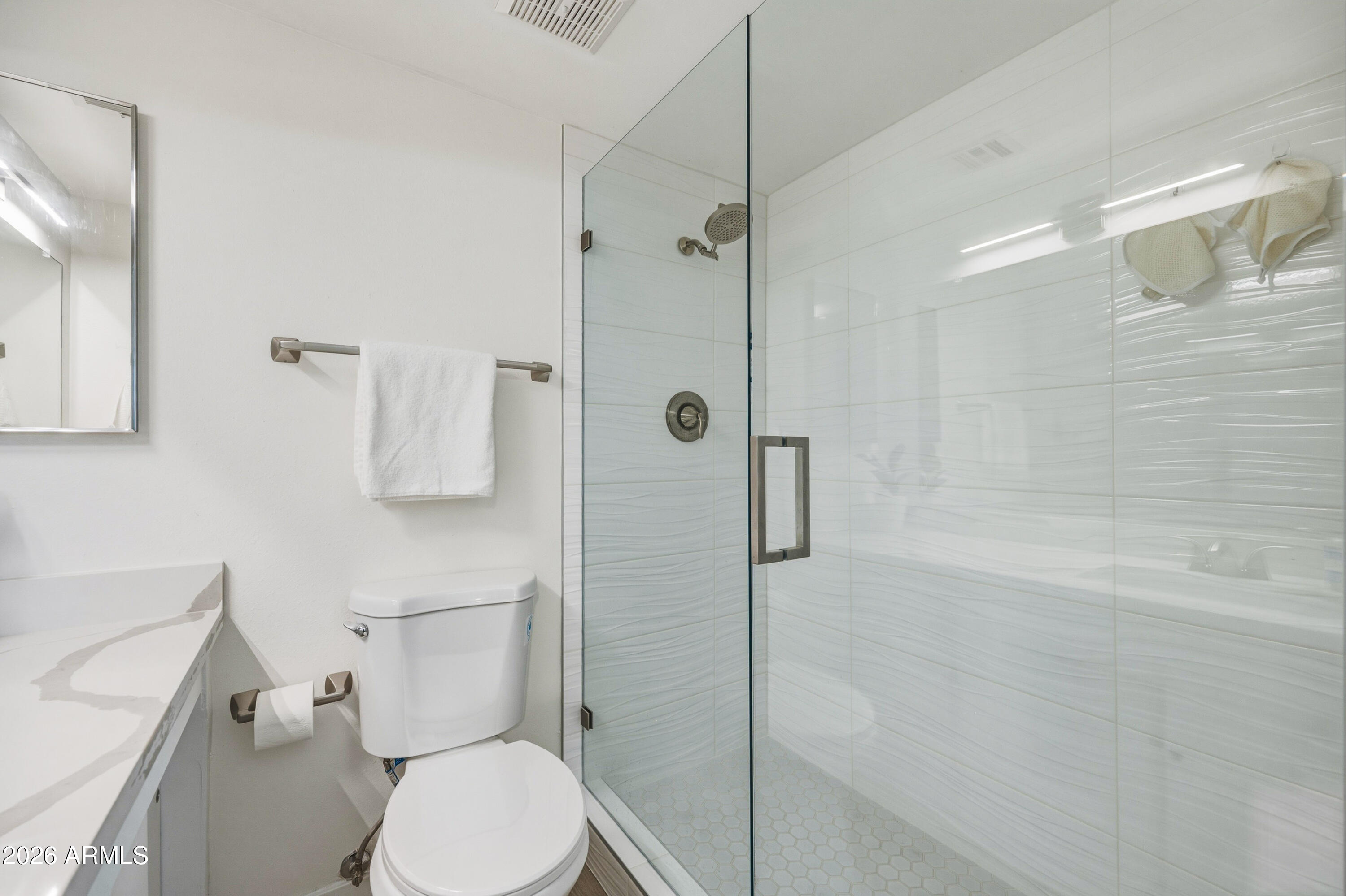 131 North Higley Road, Unit 218 Mesa, AZ 85205 - Photo 15 of 33 Primary Bath