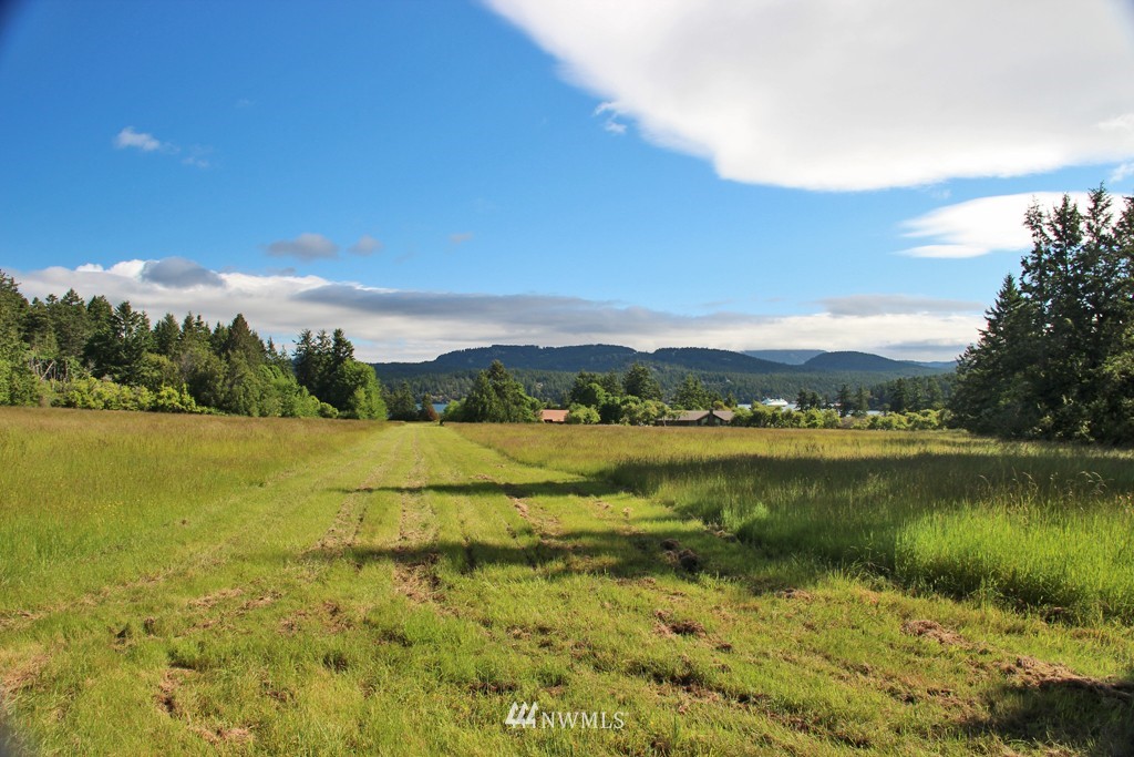 252 Smugglers Cove Road Shaw Island, WA 98286 - Photo 4 of 15 Gallery Image 4
