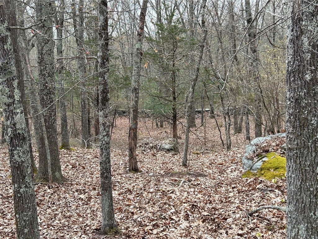 0 Farnum & Evans Road Glocester, RI 02814 - Photo 11 of 11