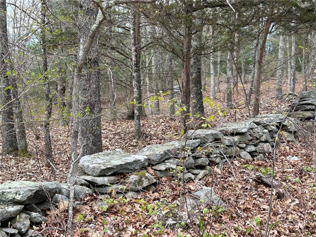 0 Farnum & Evans Road Glocester, RI 02814 - Photo 2 of 11