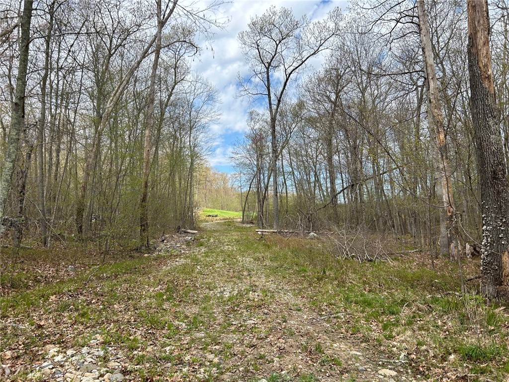 0 Farnum & Evans Road Glocester, RI 02814 - Photo 6 of 11