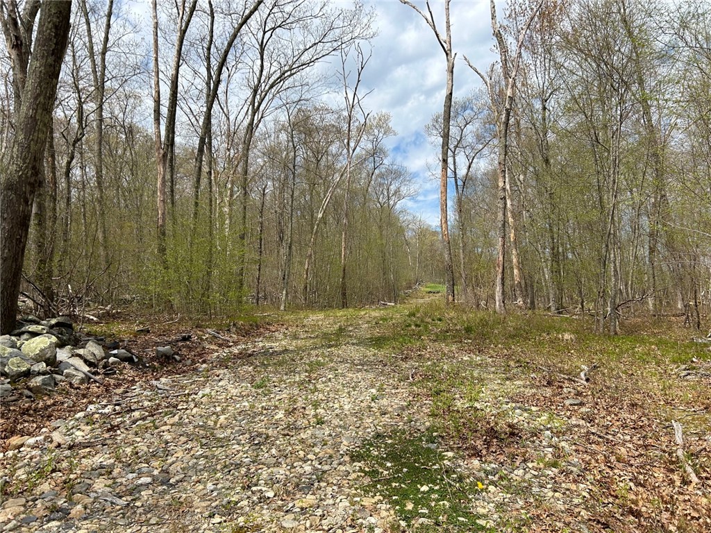 0 Farnum & Evans Road Glocester, RI 02814 - Photo 8 of 11