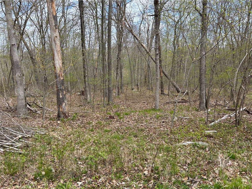 0 Farnum & Evans Road Glocester, RI 02814 - Photo 9 of 11