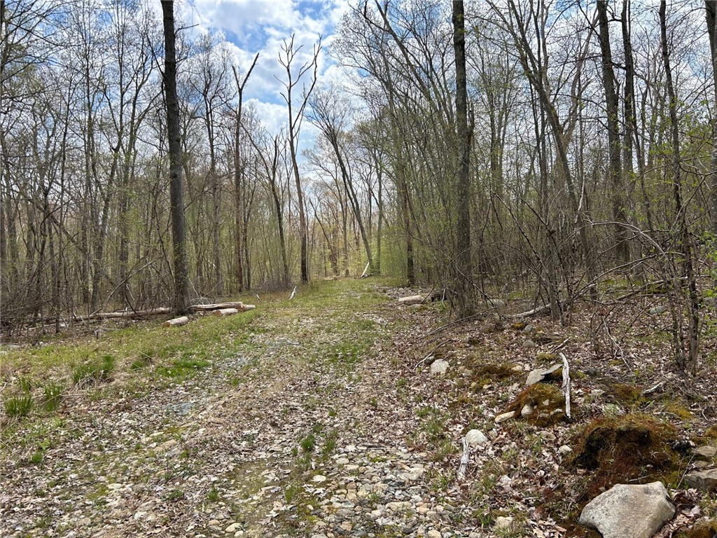 0 Farnum & Evans Road Glocester, RI 02814 - Photo 10 of 11