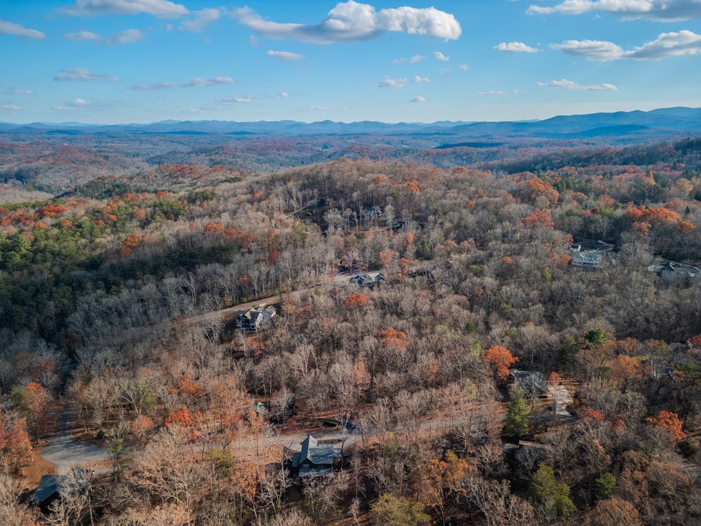 135 Grayson Point Blue Ridge, GA 30513 - Photo 44 of 46 Gallery Image 44