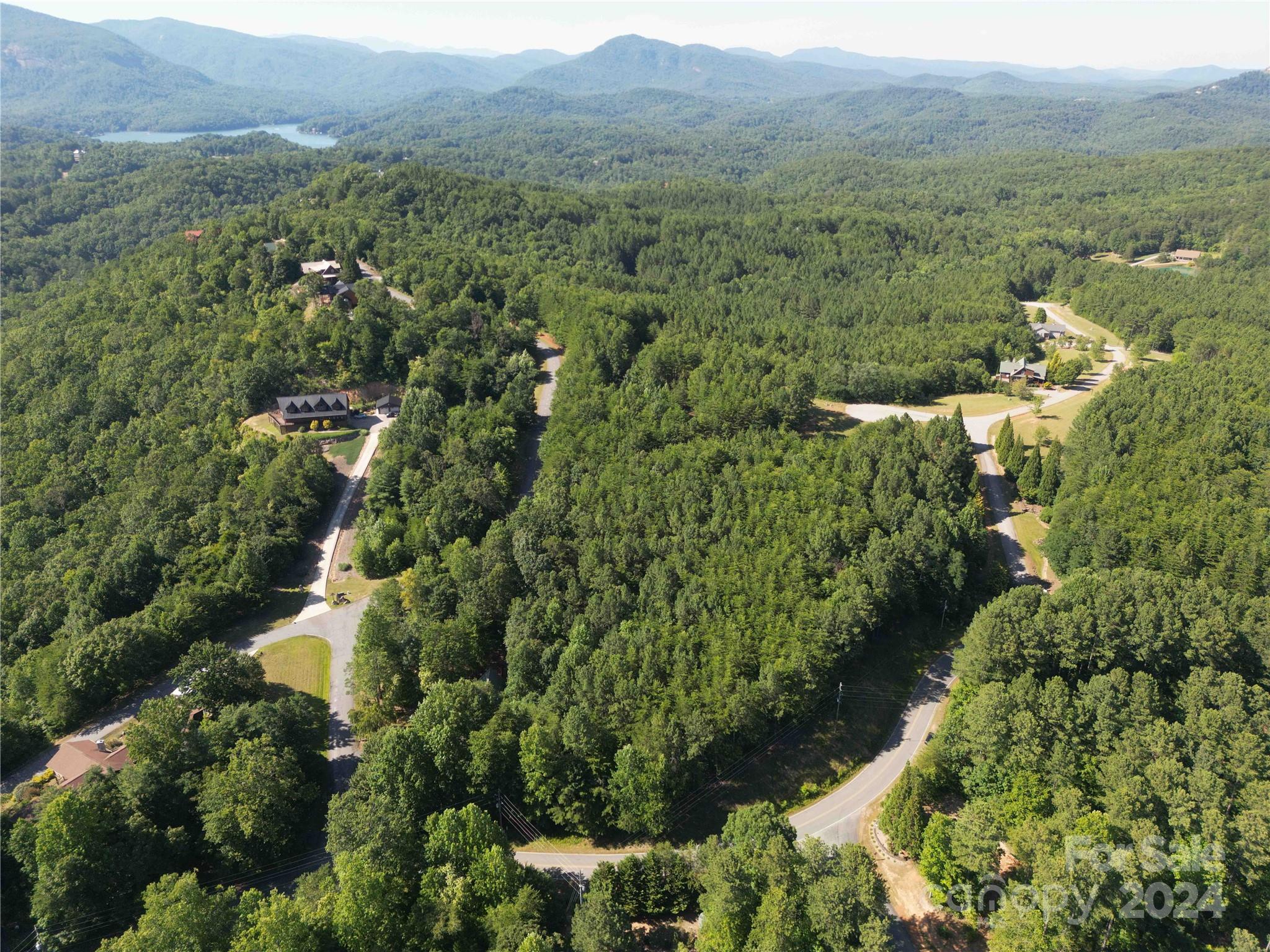 40 Palisade Drive Mill Spring, NC 28756 - Photo 11 of 24 an aerial view of residential house with green space