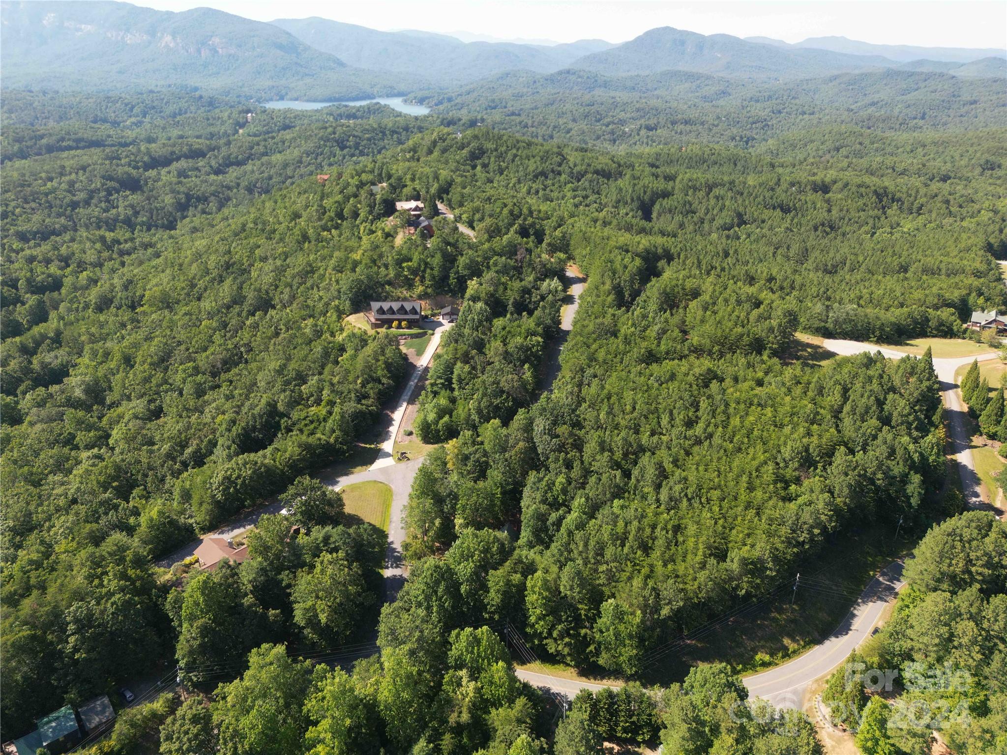 40 Palisade Drive Mill Spring, NC 28756 - Photo 12 of 24 an aerial view of residential house with outdoor space and trees all around