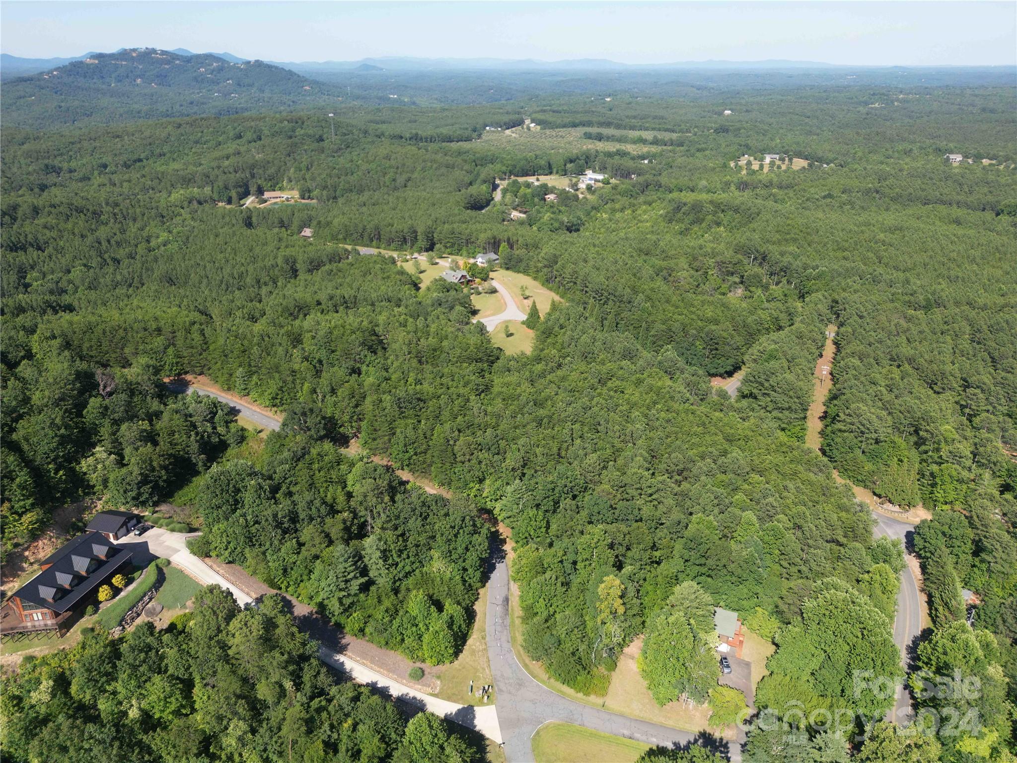 40 Palisade Drive Mill Spring, NC 28756 - Photo 13 of 24