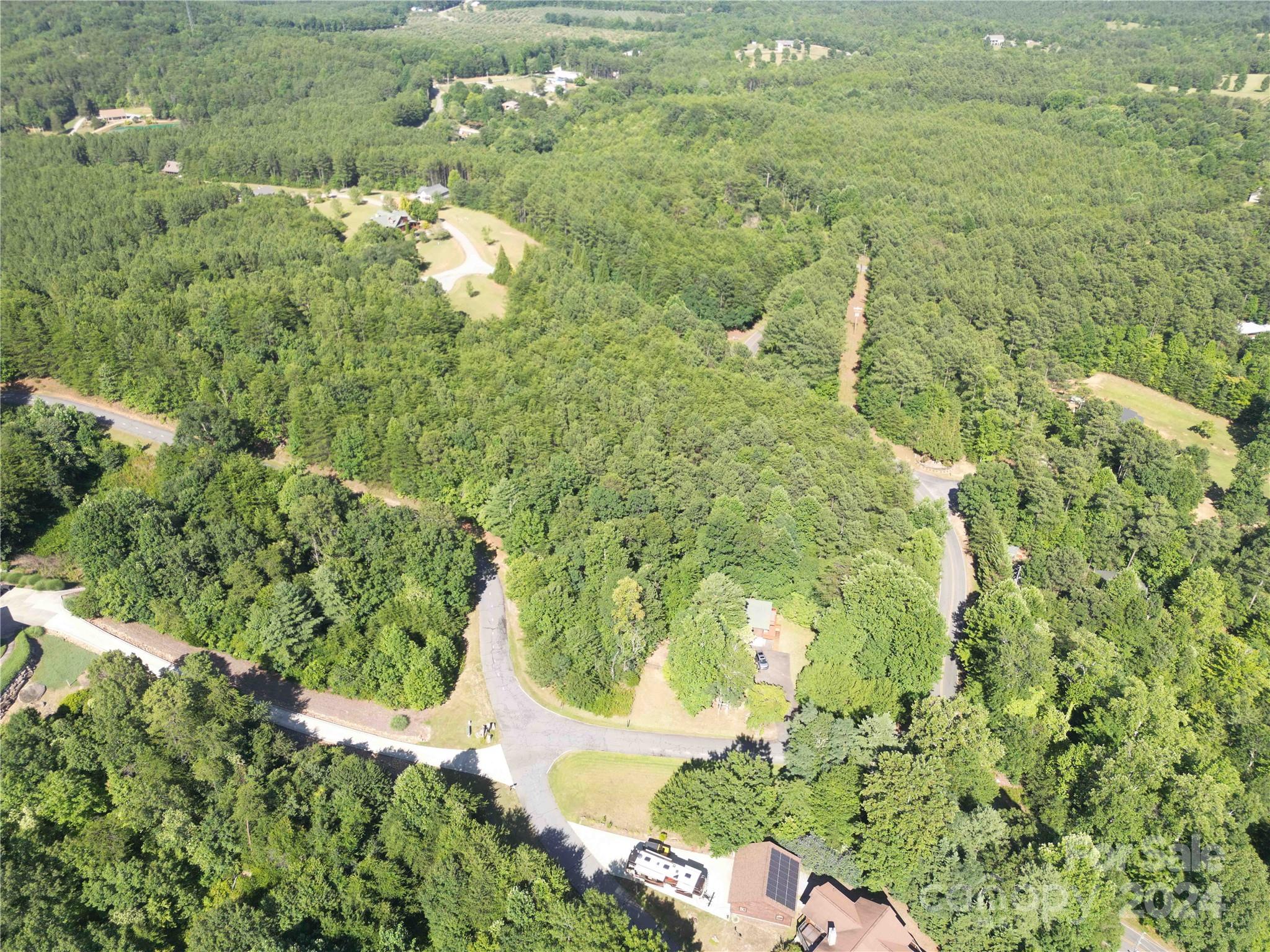 40 Palisade Drive Mill Spring, NC 28756 - Photo 14 of 24 a close up of a plant in a garden