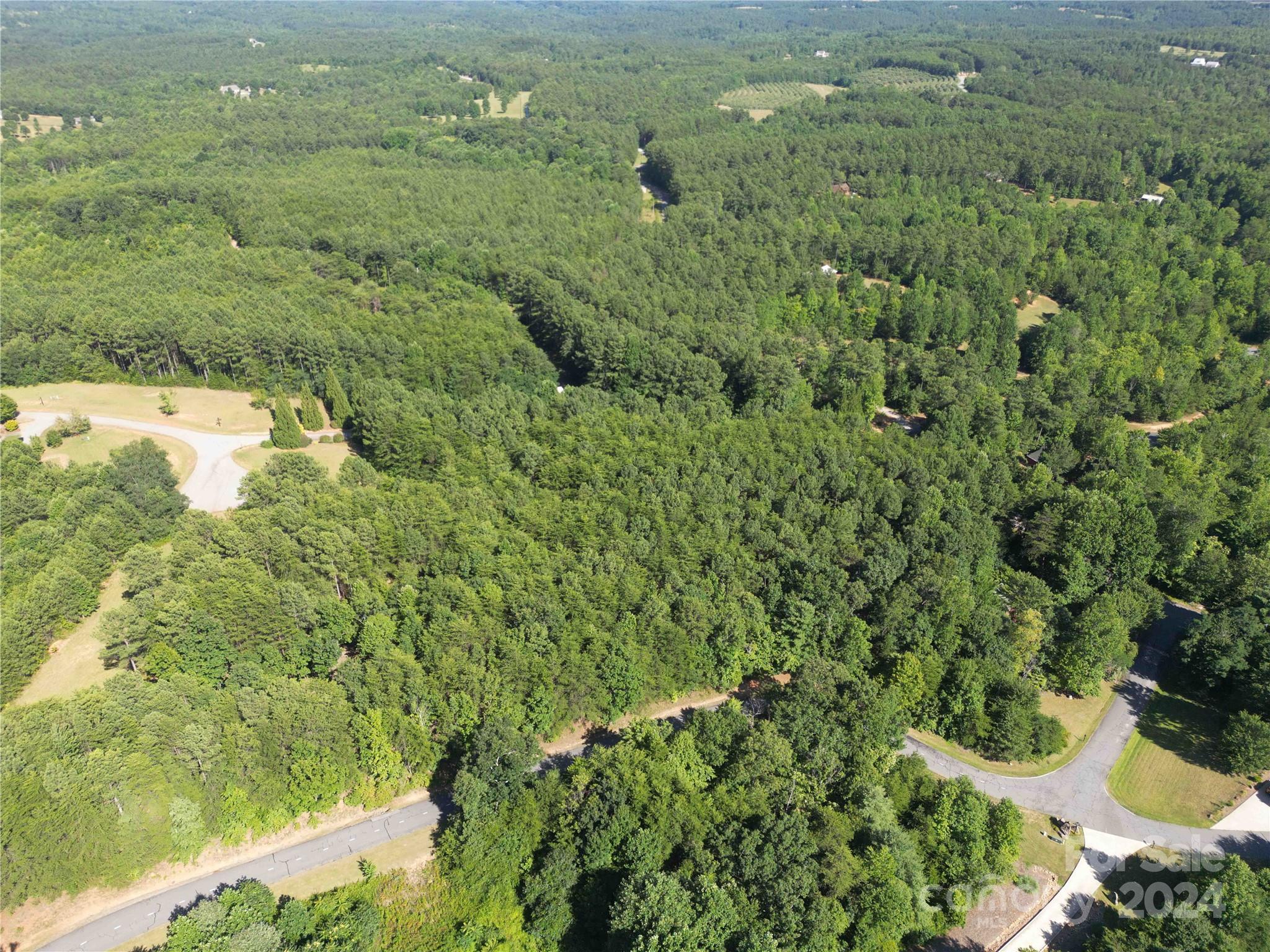 40 Palisade Drive Mill Spring, NC 28756 - Photo 15 of 24 a view of a bunch of trees and bushes