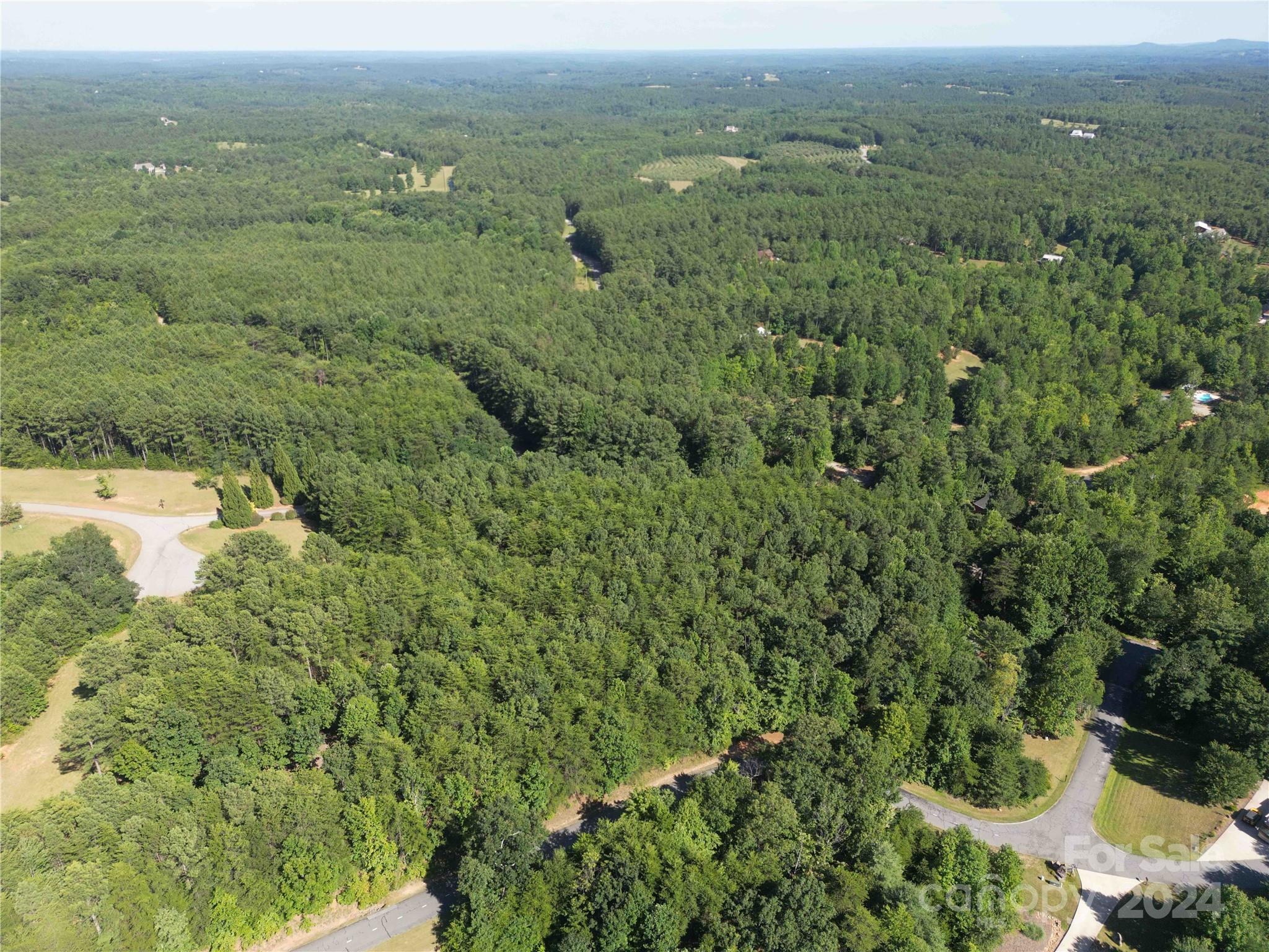 40 Palisade Drive Mill Spring, NC 28756 - Photo 16 of 24 an aerial view of residential houses with outdoor space and trees