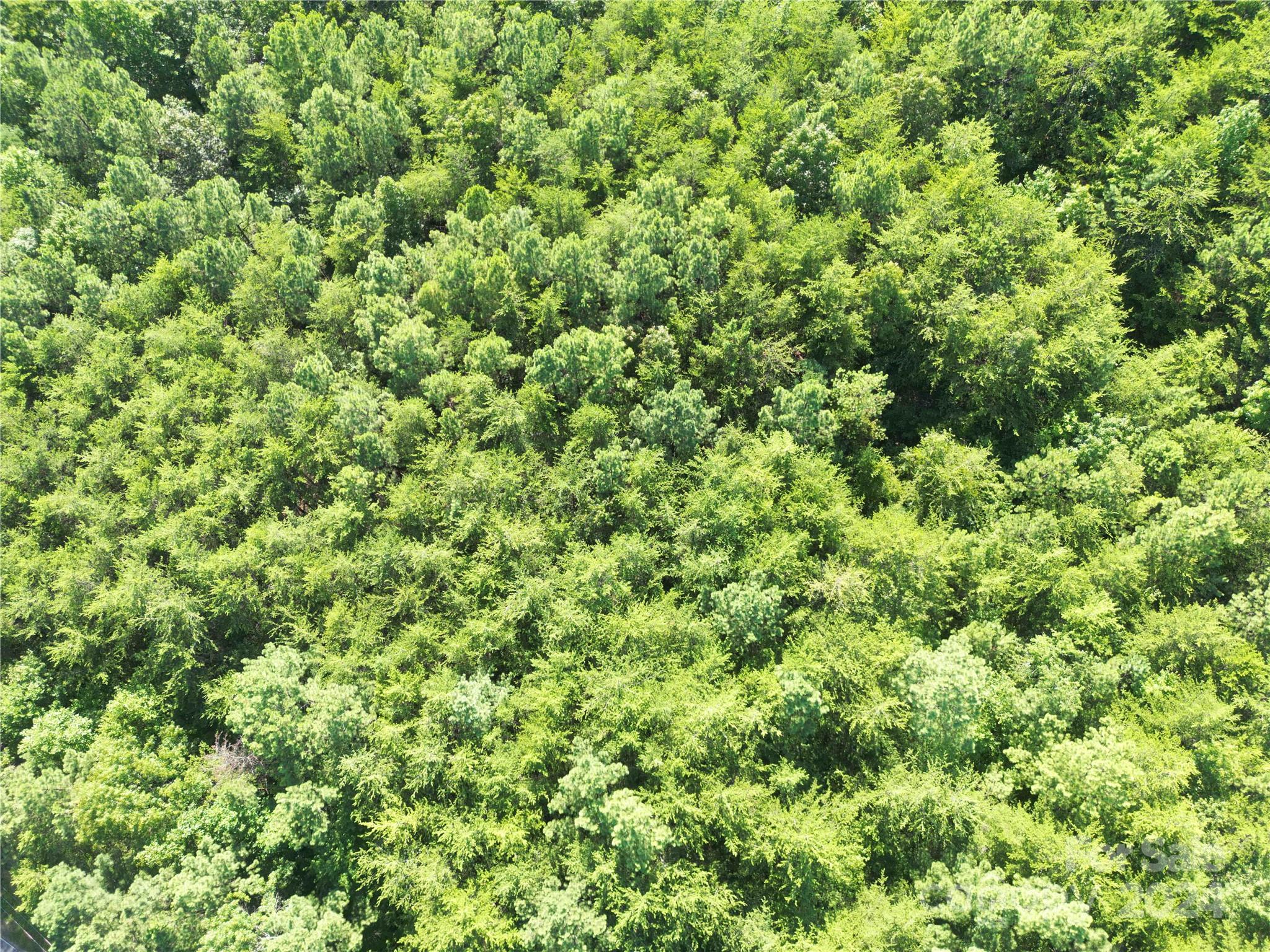40 Palisade Drive Mill Spring, NC 28756 - Photo 17 of 24 a view of a green field