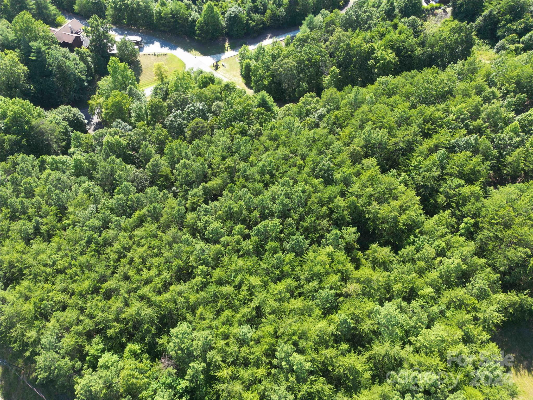 40 Palisade Drive Mill Spring, NC 28756 - Photo 18 of 24 an aerial view of a house with a yard