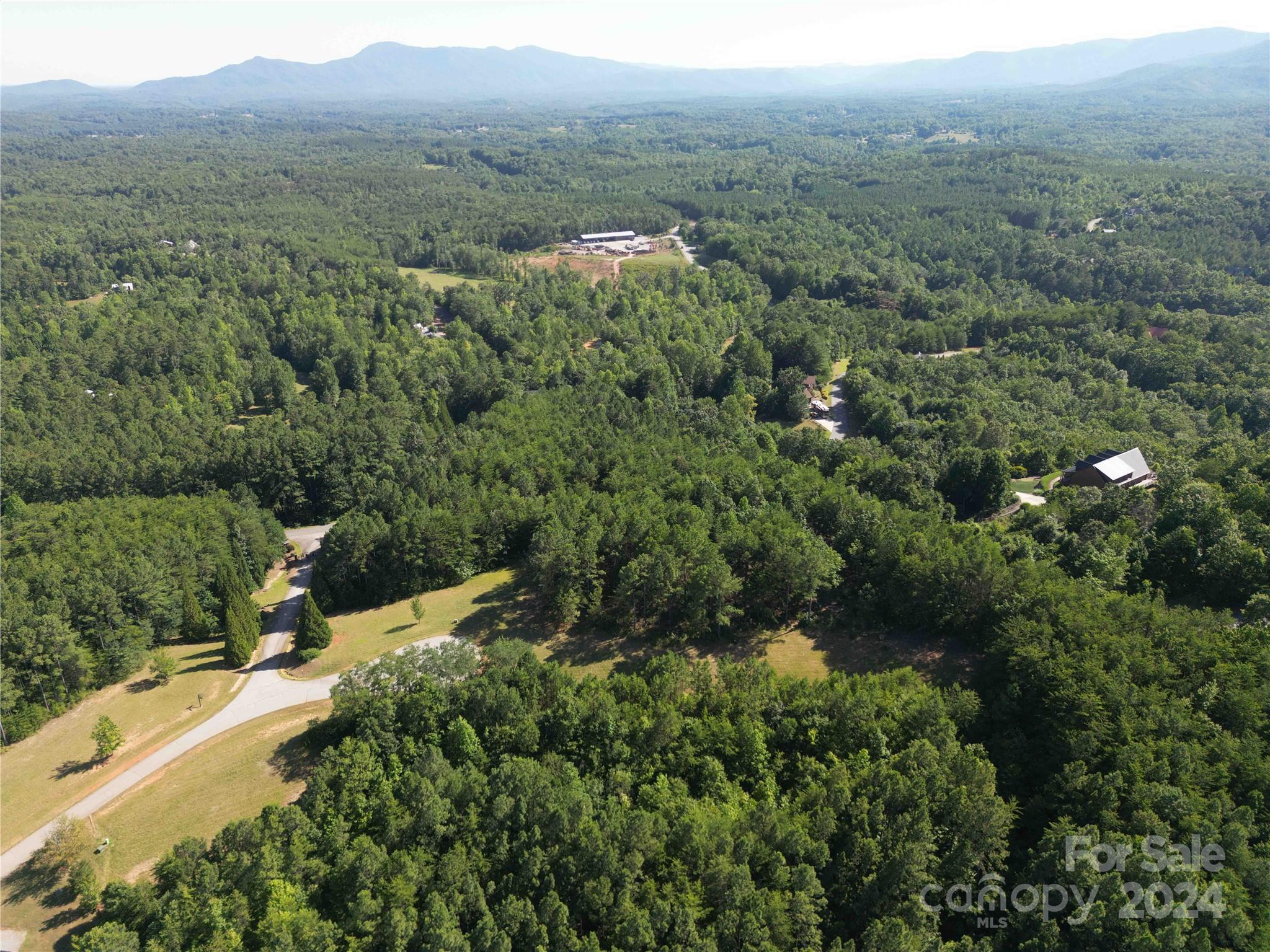40 Palisade Drive Mill Spring, NC 28756 - Photo 19 of 24 a view of a forest with a street
