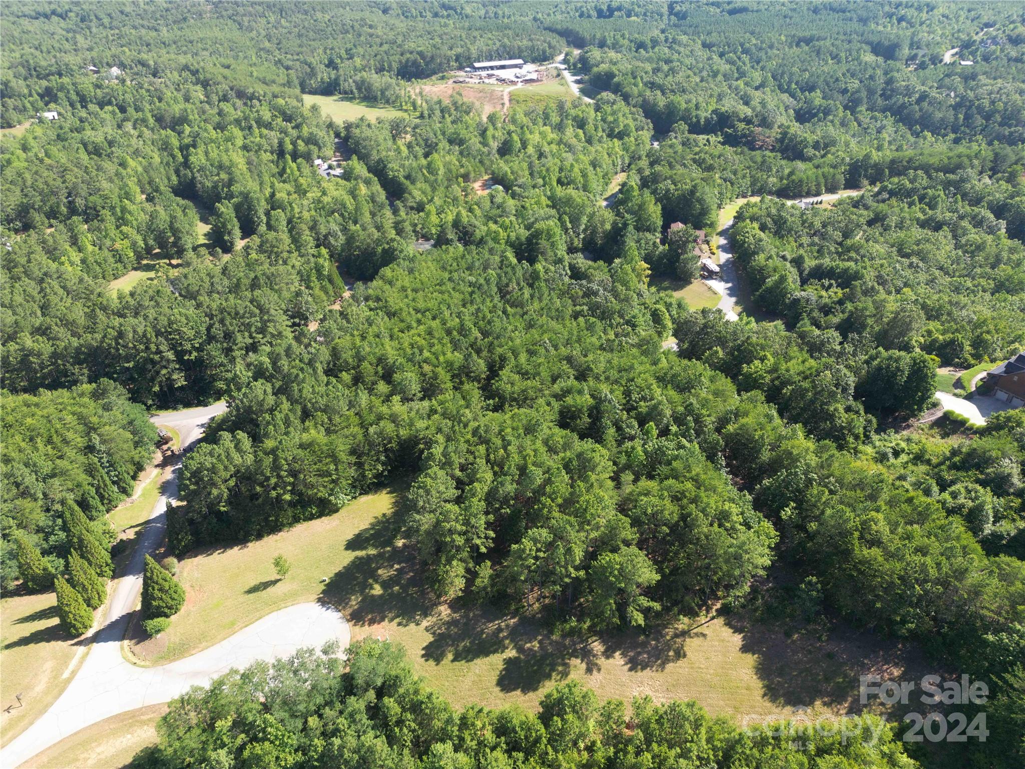 40 Palisade Drive Mill Spring, NC 28756 - Photo 20 of 24 a view of a forest with a house