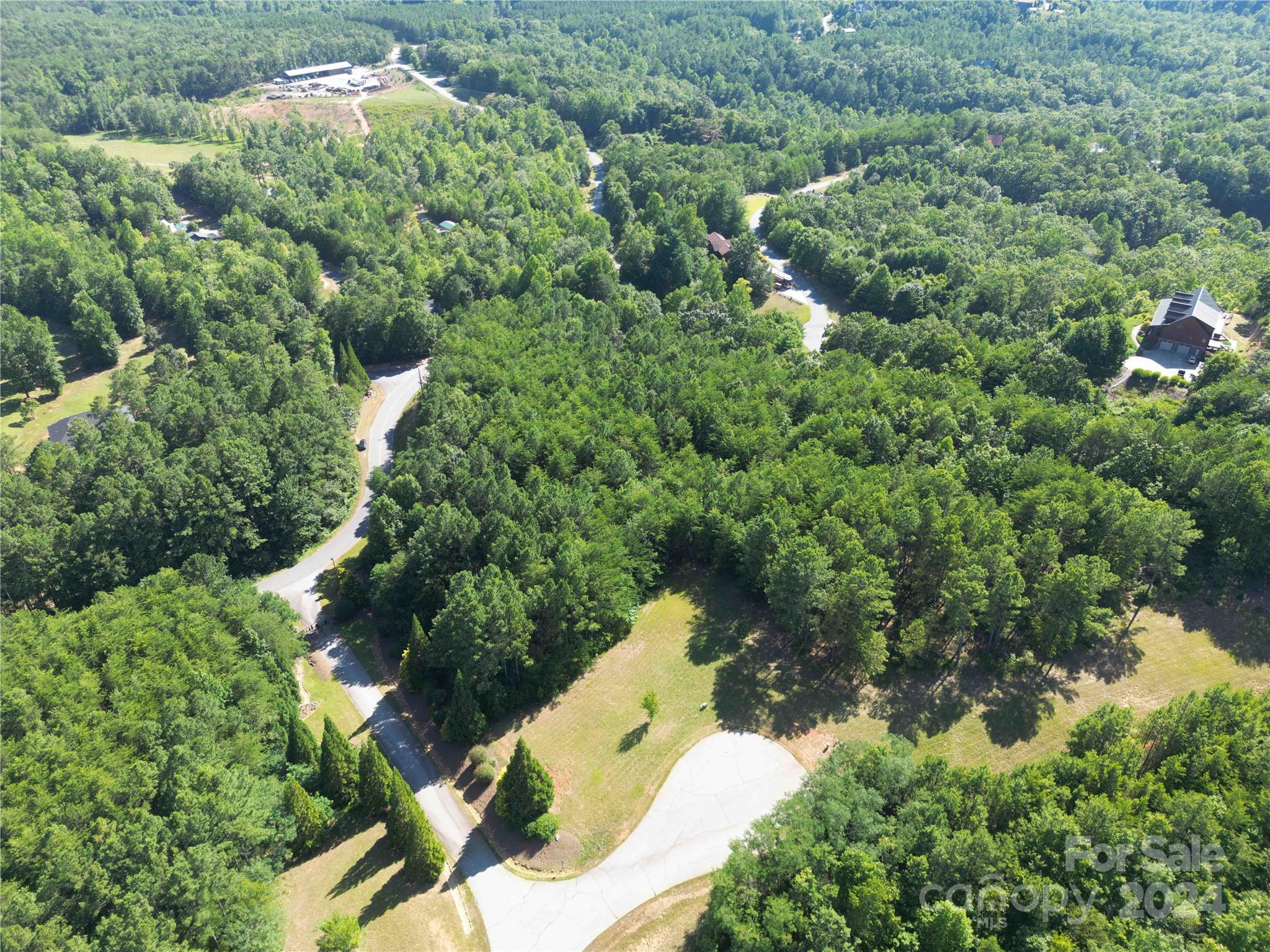 40 Palisade Drive Mill Spring, NC 28756 - Photo 2 of 24 an aerial view of a house with a yard and large trees