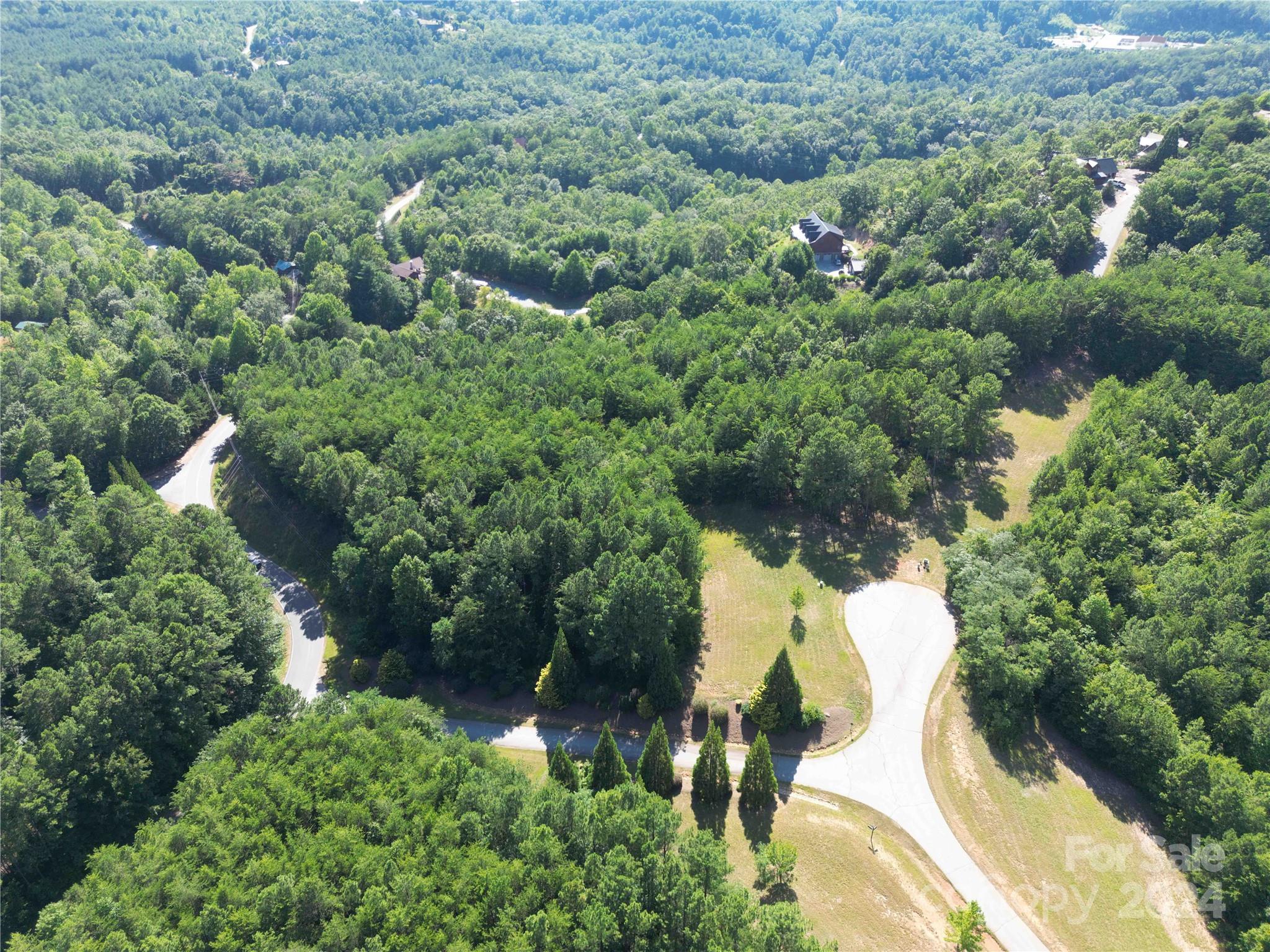 40 Palisade Drive Mill Spring, NC 28756 - Photo 21 of 24 an aerial view of residential house with outdoor space and trees all around