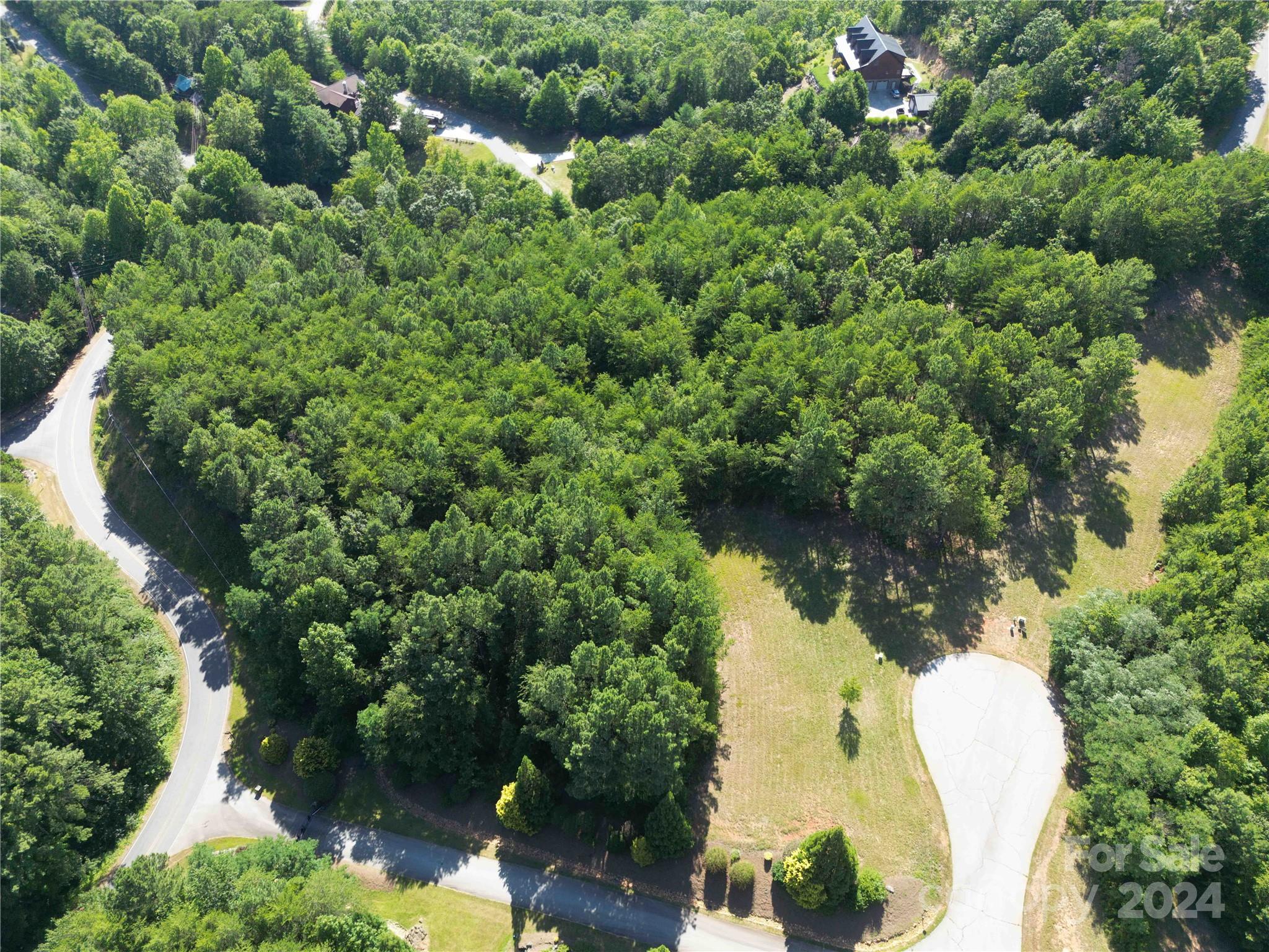 40 Palisade Drive Mill Spring, NC 28756 - Photo 22 of 24 an aerial view of residential house with outdoor space and trees around