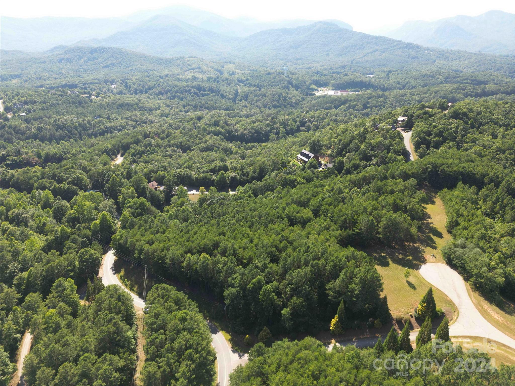 40 Palisade Drive Mill Spring, NC 28756 - Photo 23 of 24 an aerial view of forest