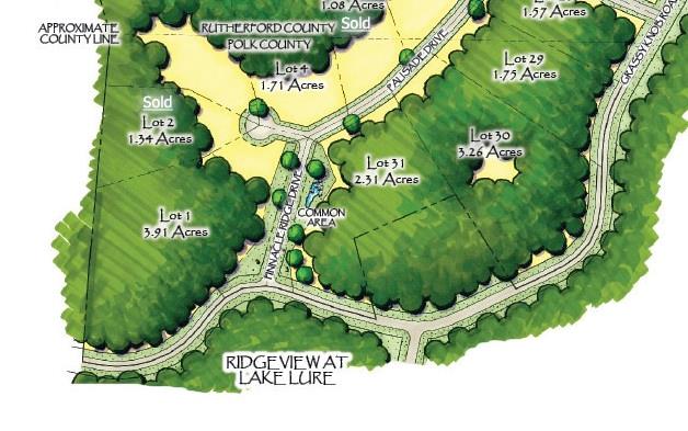 40 Palisade Drive Mill Spring, NC 28756 - Photo 24 of 24 a view of a swimming pool with a flower in a garden