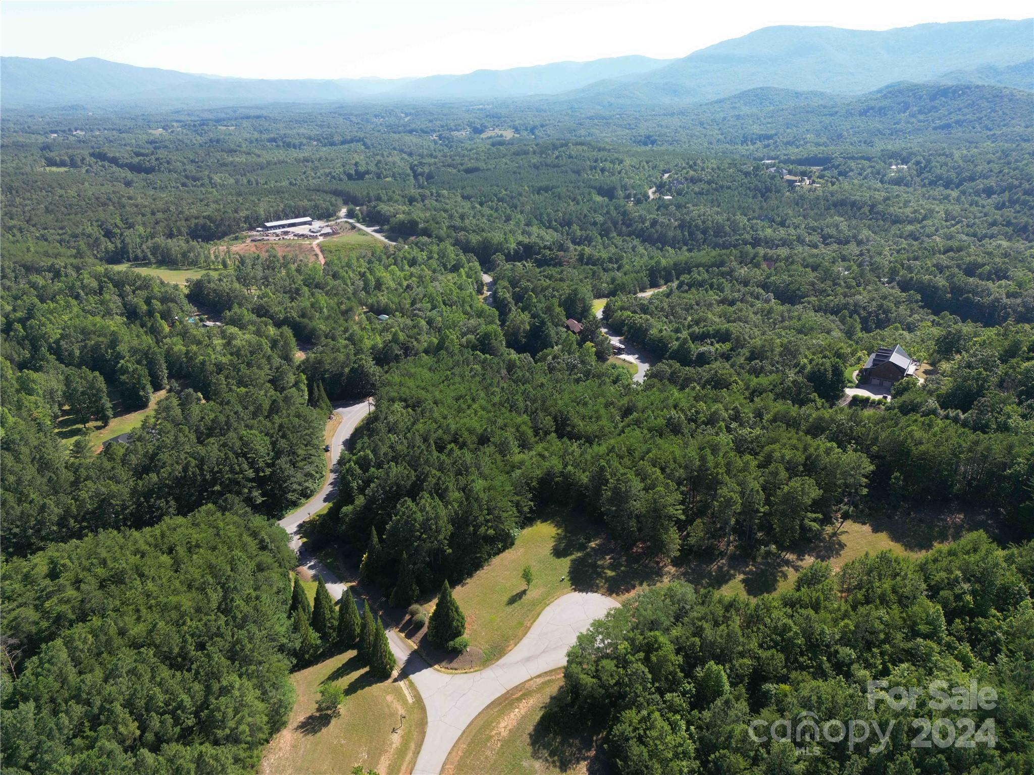 40 Palisade Drive Mill Spring, NC 28756 - Photo 3 of 24 an aerial view of green landscape with trees houses and mountain view