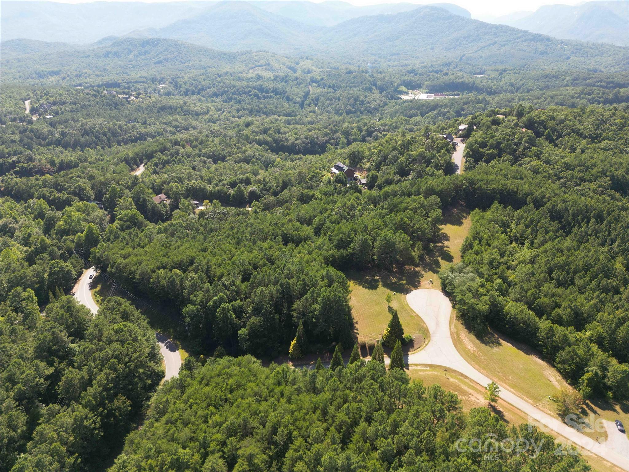 40 Palisade Drive Mill Spring, NC 28756 - Photo 4 of 24 an aerial view of residential house with green space