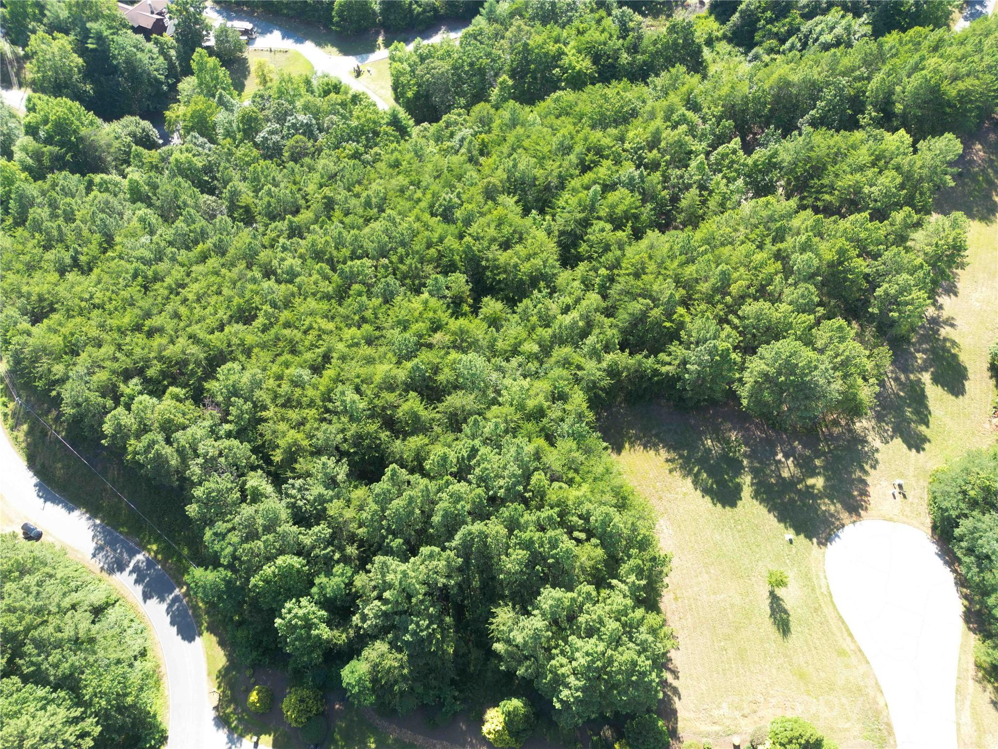 40 Palisade Drive Mill Spring, NC 28756 - Photo 5 of 24 a view of a lake with a tree