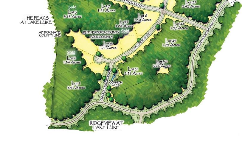 40 Palisade Drive Mill Spring, NC 28756 - Photo 6 of 24 a picture of a park