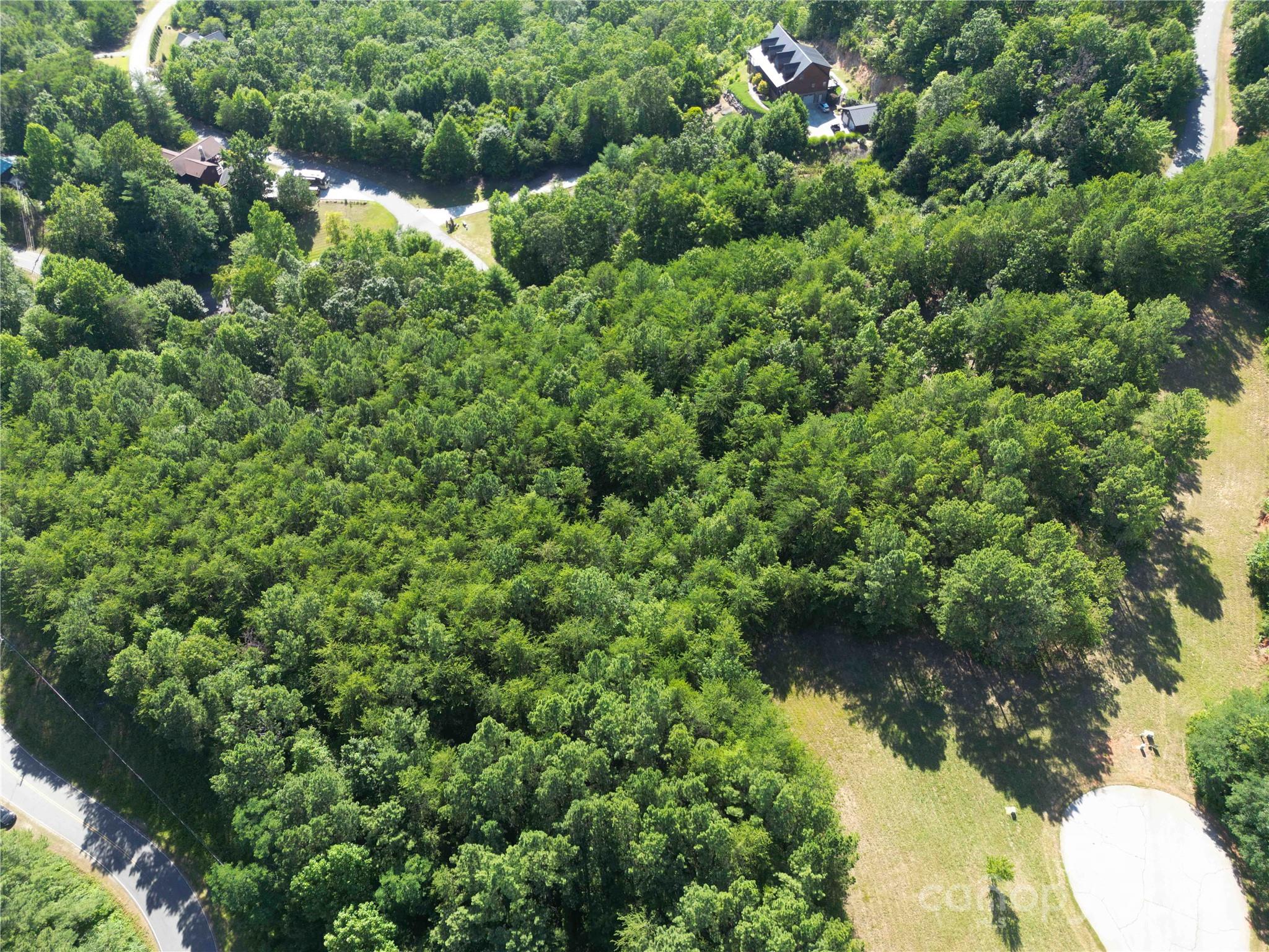 40 Palisade Drive Mill Spring, NC 28756 - Photo 7 of 24 a view of a garden