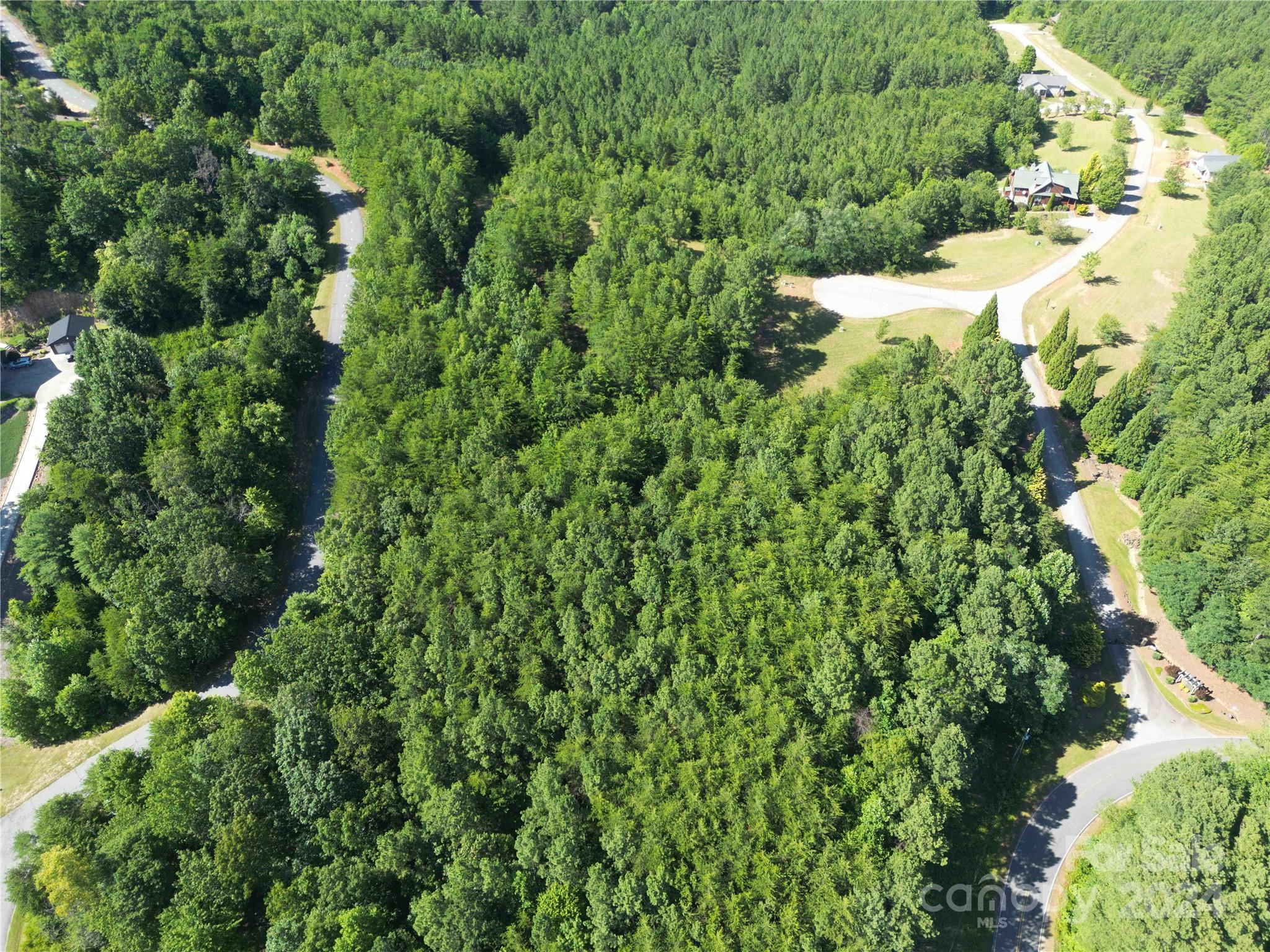40 Palisade Drive Mill Spring, NC 28756 - Photo 8 of 24 an aerial view of a house with a yard