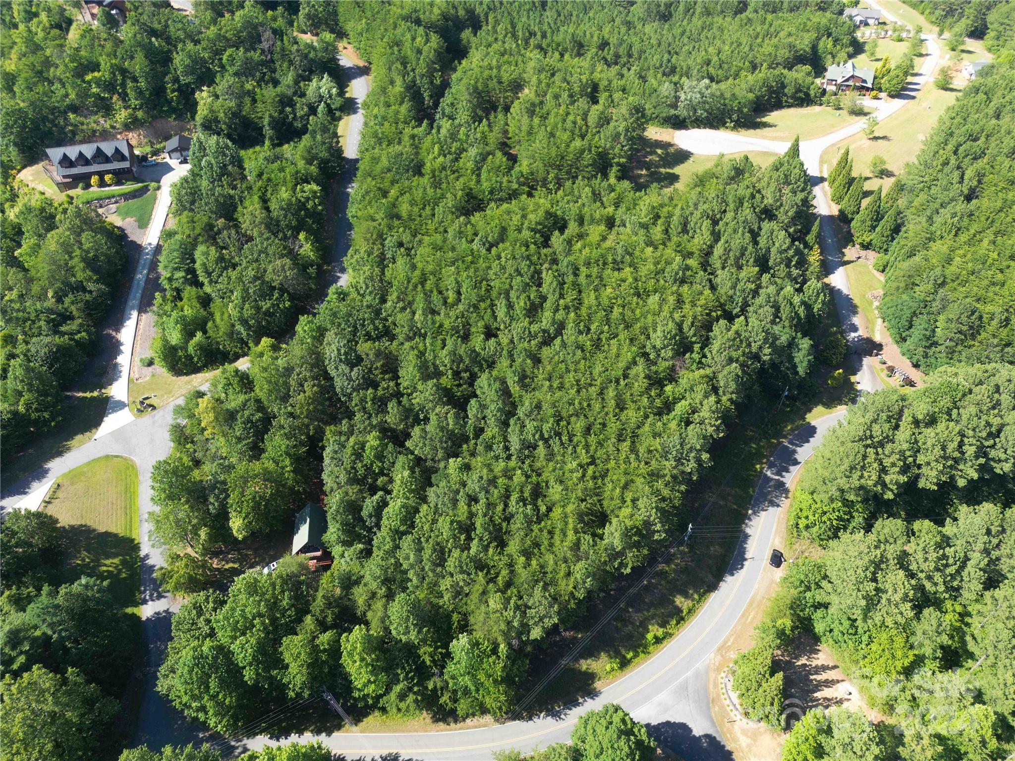 40 Palisade Drive Mill Spring, NC 28756 - Photo 9 of 24 a view of a garden with a house