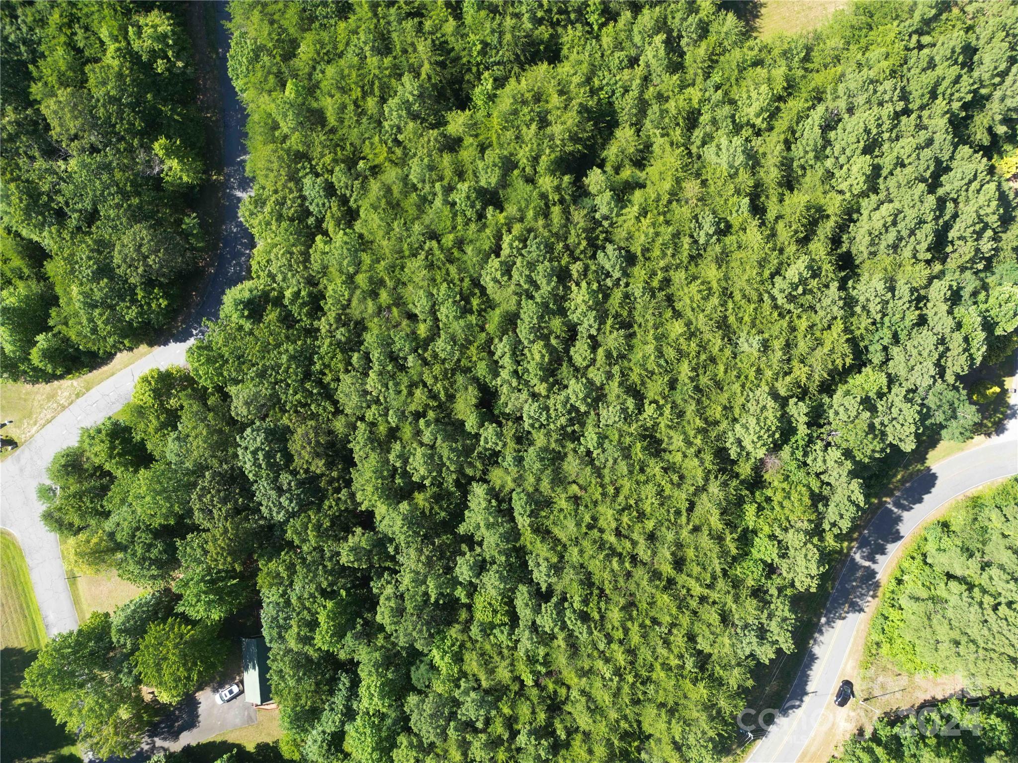 40 Palisade Drive Mill Spring, NC 28756 - Photo 10 of 24 a backyard of a house with lots of green space