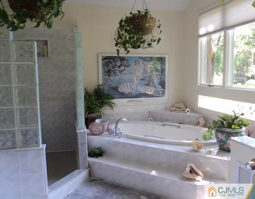 17 Woodlot Road East Brunswick, NJ 08816 - Photo 15 of 25 a bathroom with a bathtub and a shower