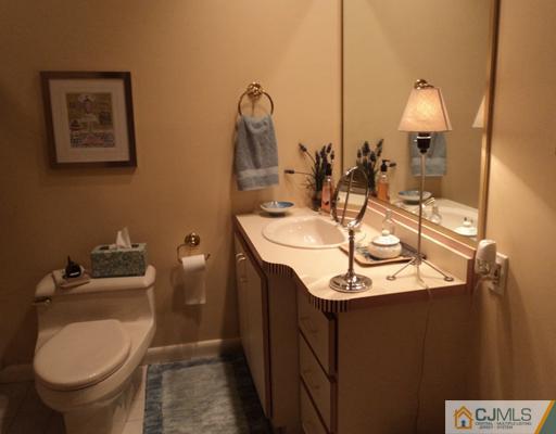 17 Woodlot Road East Brunswick, NJ 08816 - Photo 21 of 25 a bathroom with a sink and mirror with toilet