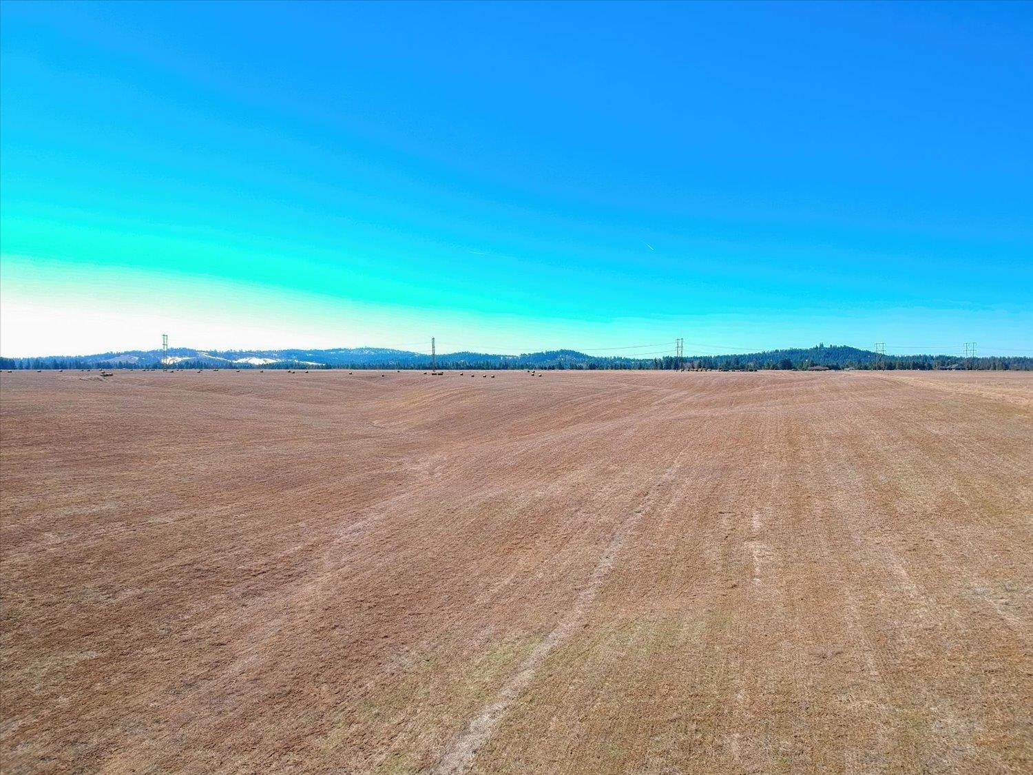 21-xxx North Division Road Colbert, WA 99005 - Photo 1 of 8