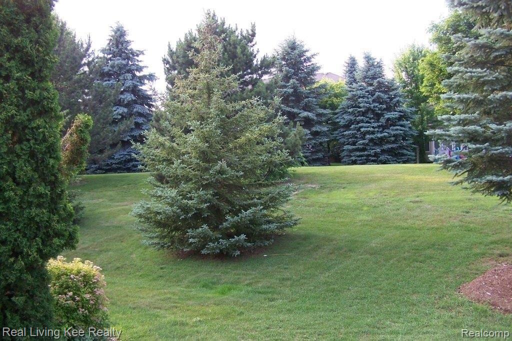 3156 Silverbrook Drive Rochester, MI 48306 - Photo 19 of 22 019.jpg